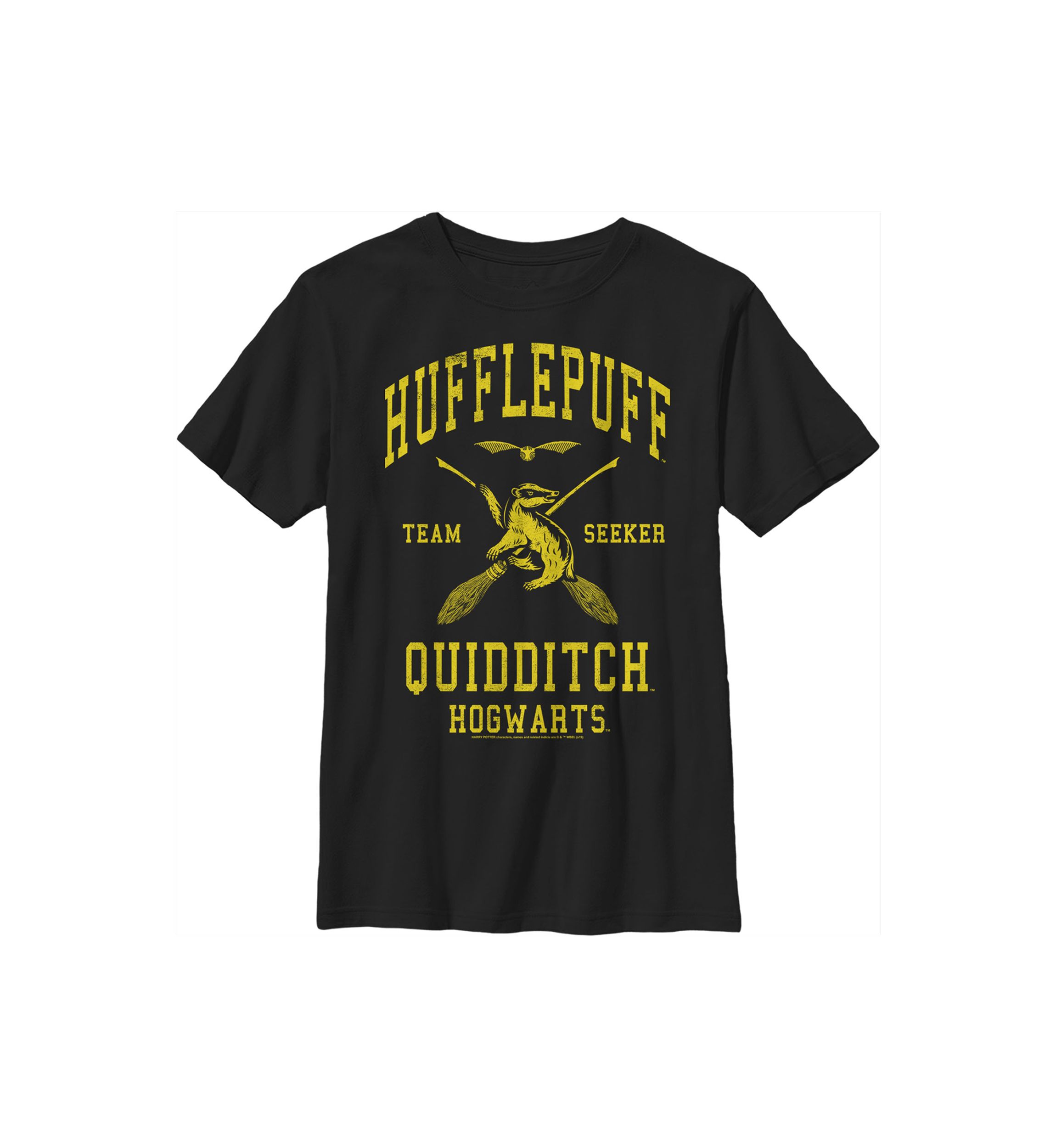 Boys 4-7  Hufflepuff Quidditch Seeker Graphic T-Shirt