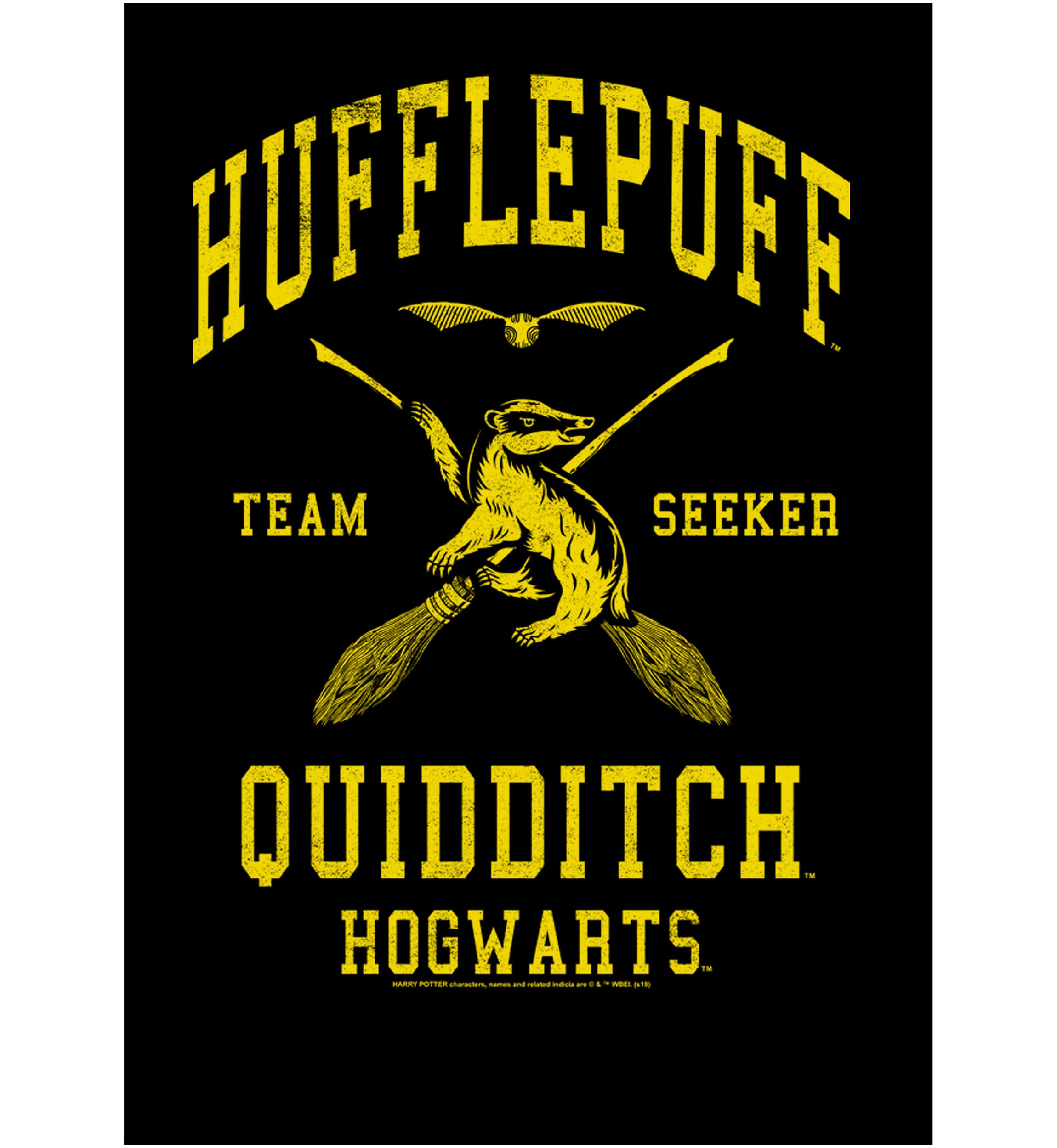 Boys 4-7  Hufflepuff Quidditch Seeker Graphic T-Shirt