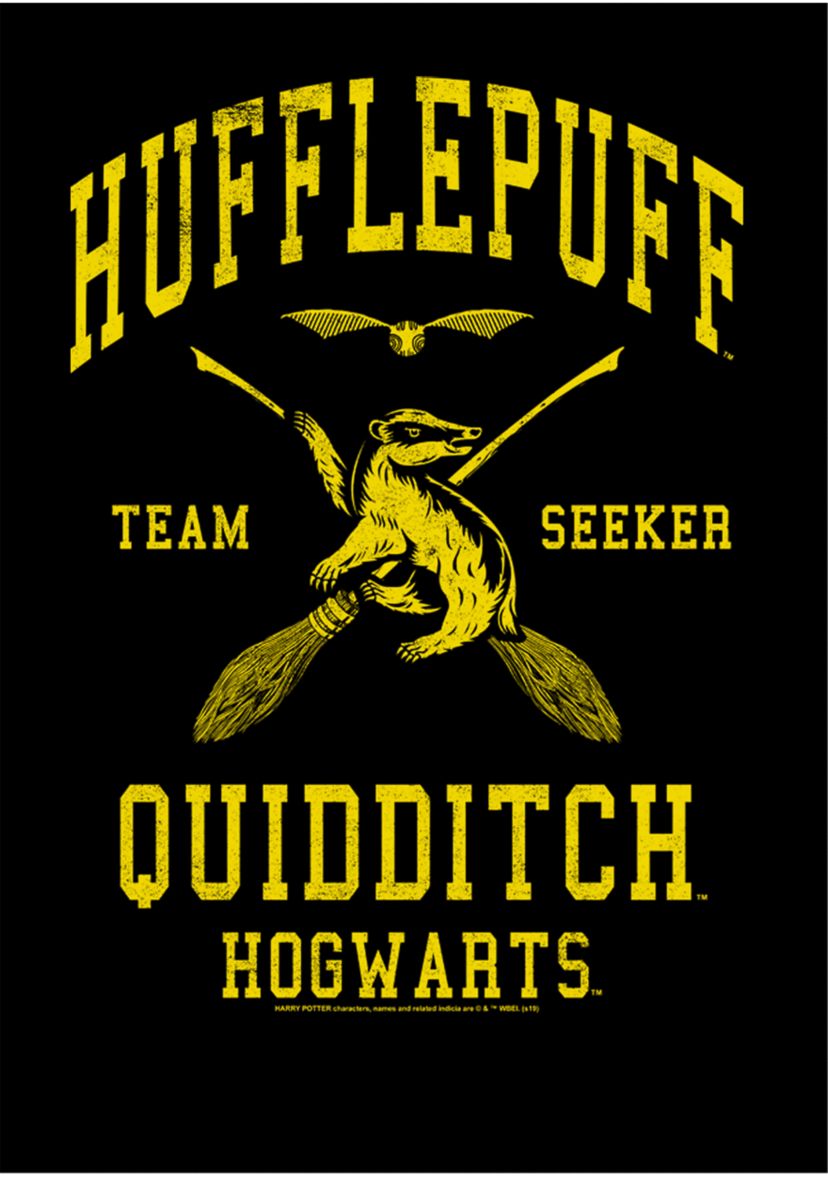 Boys 4-7  Hufflepuff Quidditch Seeker Graphic T-Shirt