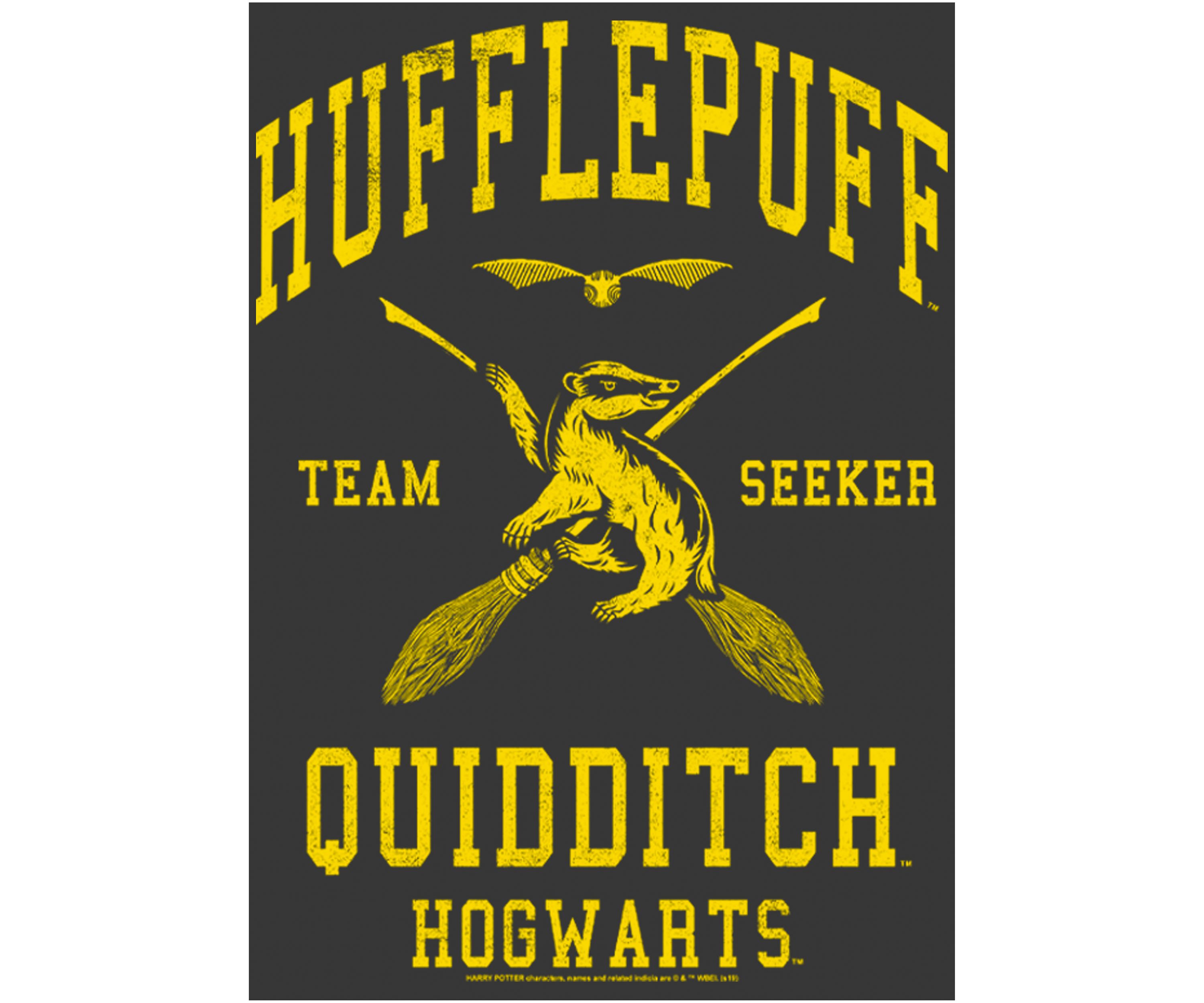 Boys 4-7  Hufflepuff Quidditch Seeker Graphic T-Shirt