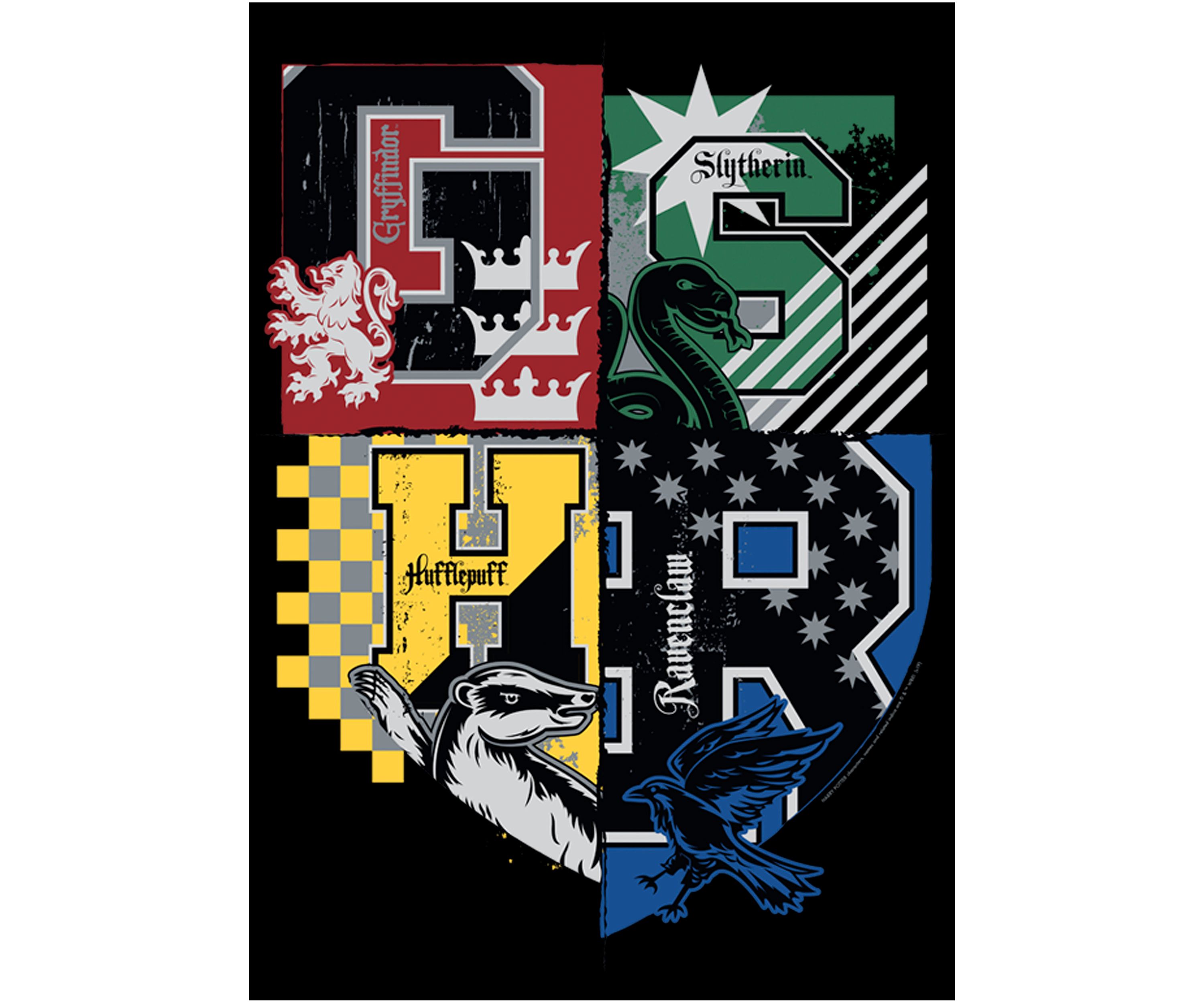 Boys 4-7  House Crests Graphic T-Shirt