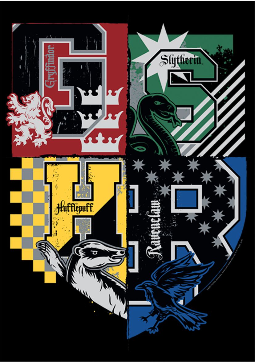 Boys 4-7  House Crests Graphic T-Shirt