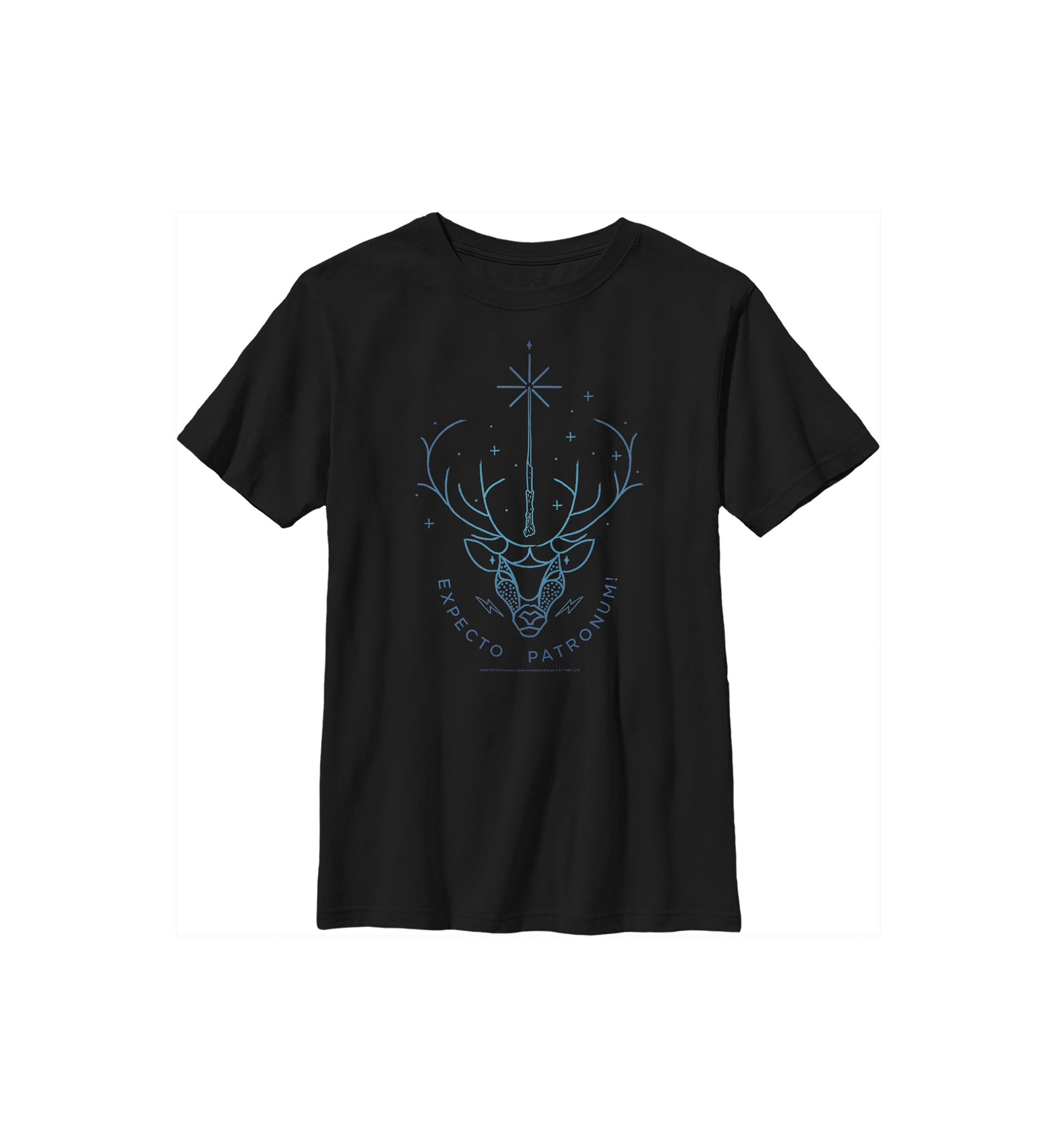 Boys 4-7  Expecto Patronum Stag Graphic T-Shirt