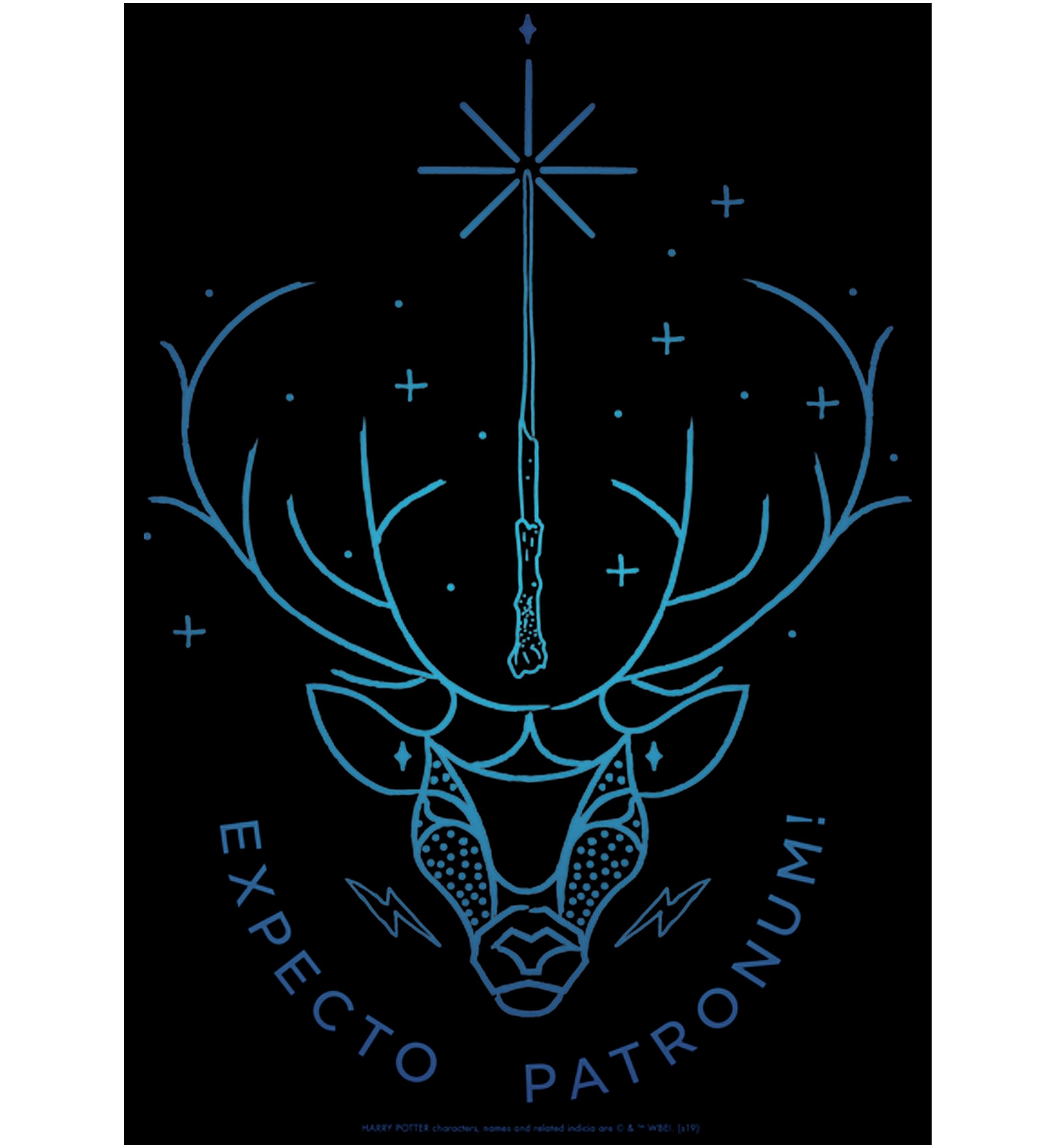 Boys 4-7  Expecto Patronum Stag Graphic T-Shirt