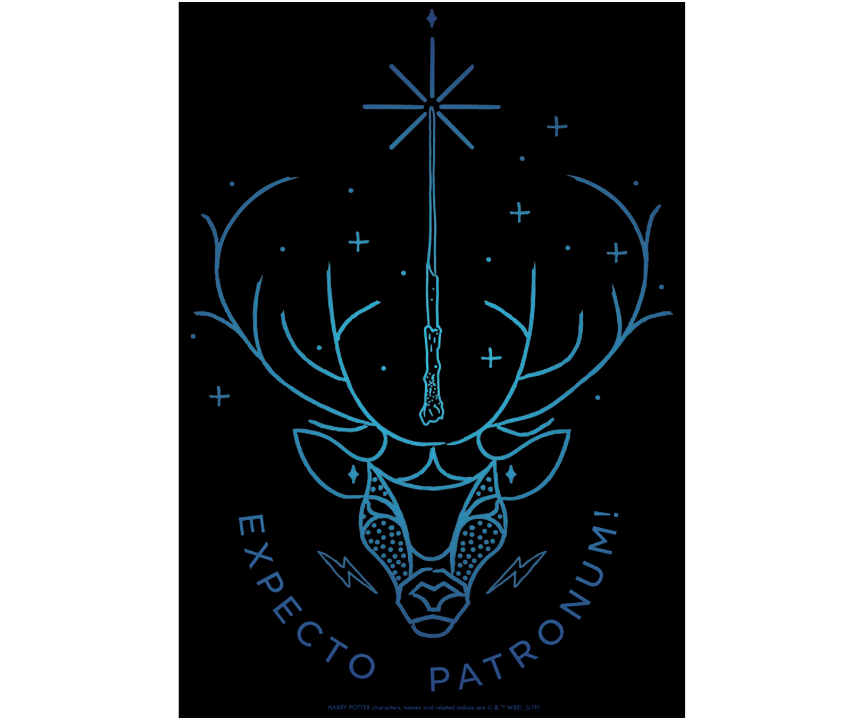 Boys 4-7  Expecto Patronum Stag Graphic T-Shirt