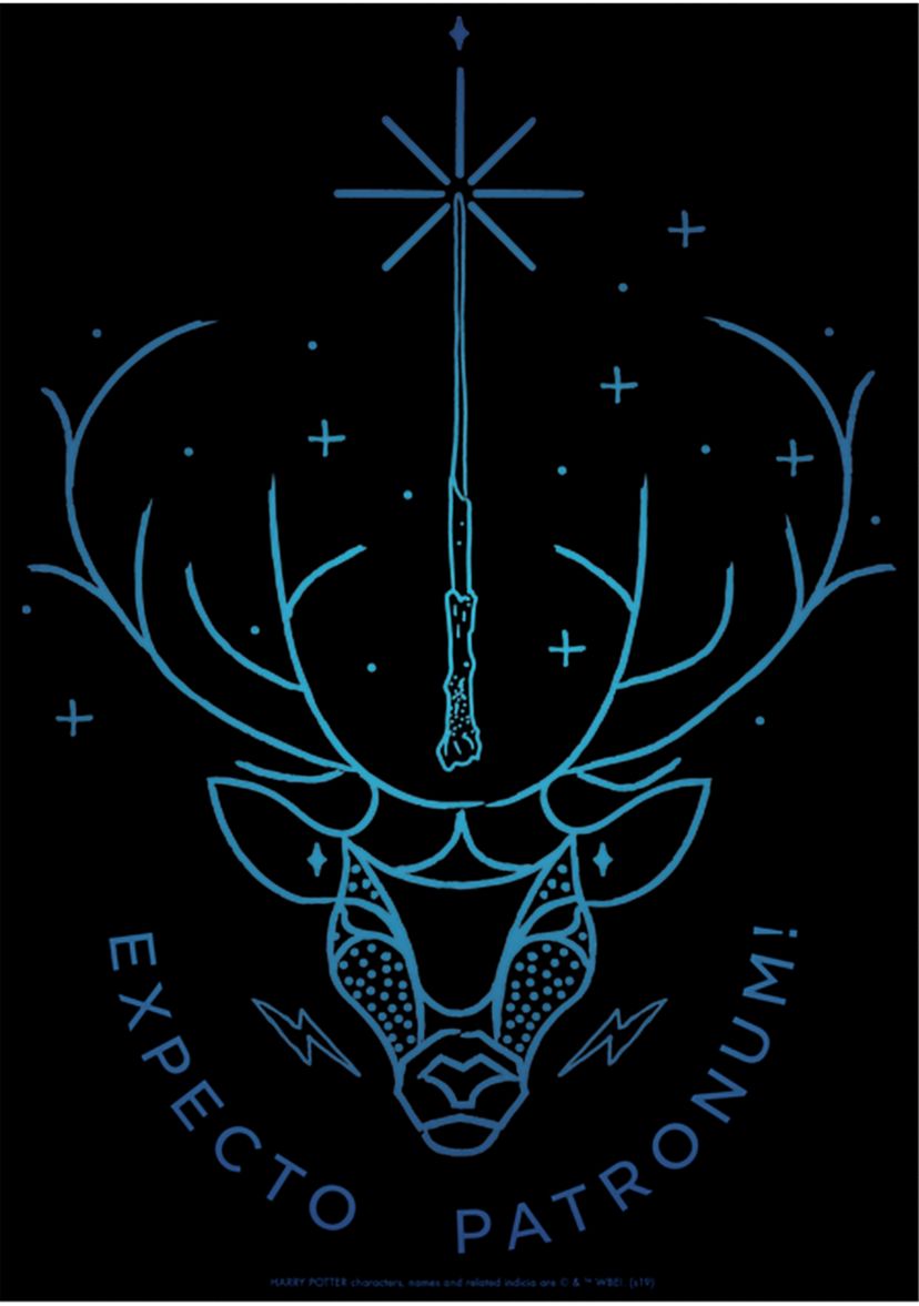 Boys 4-7  Expecto Patronum Stag Graphic T-Shirt