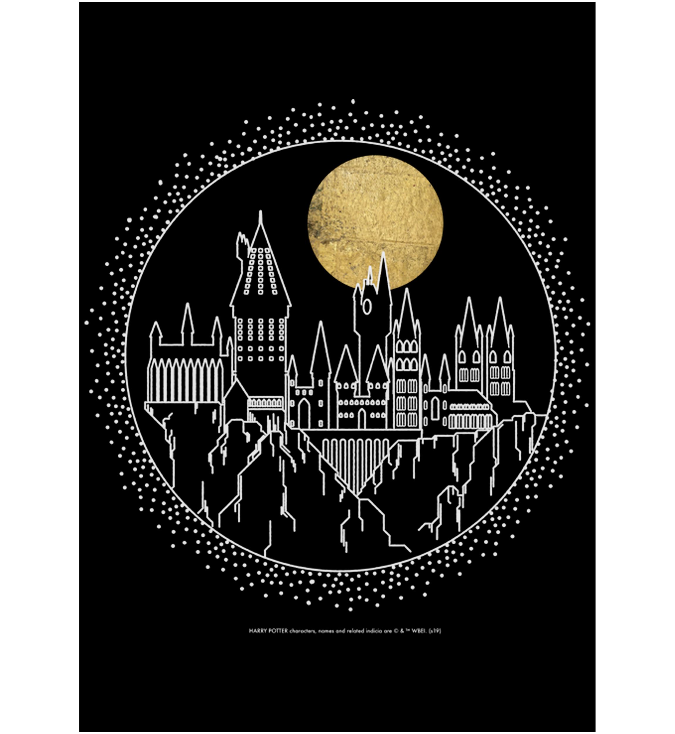 Boys 4-7  Hogwarts Line Art Graphic T-Shirt