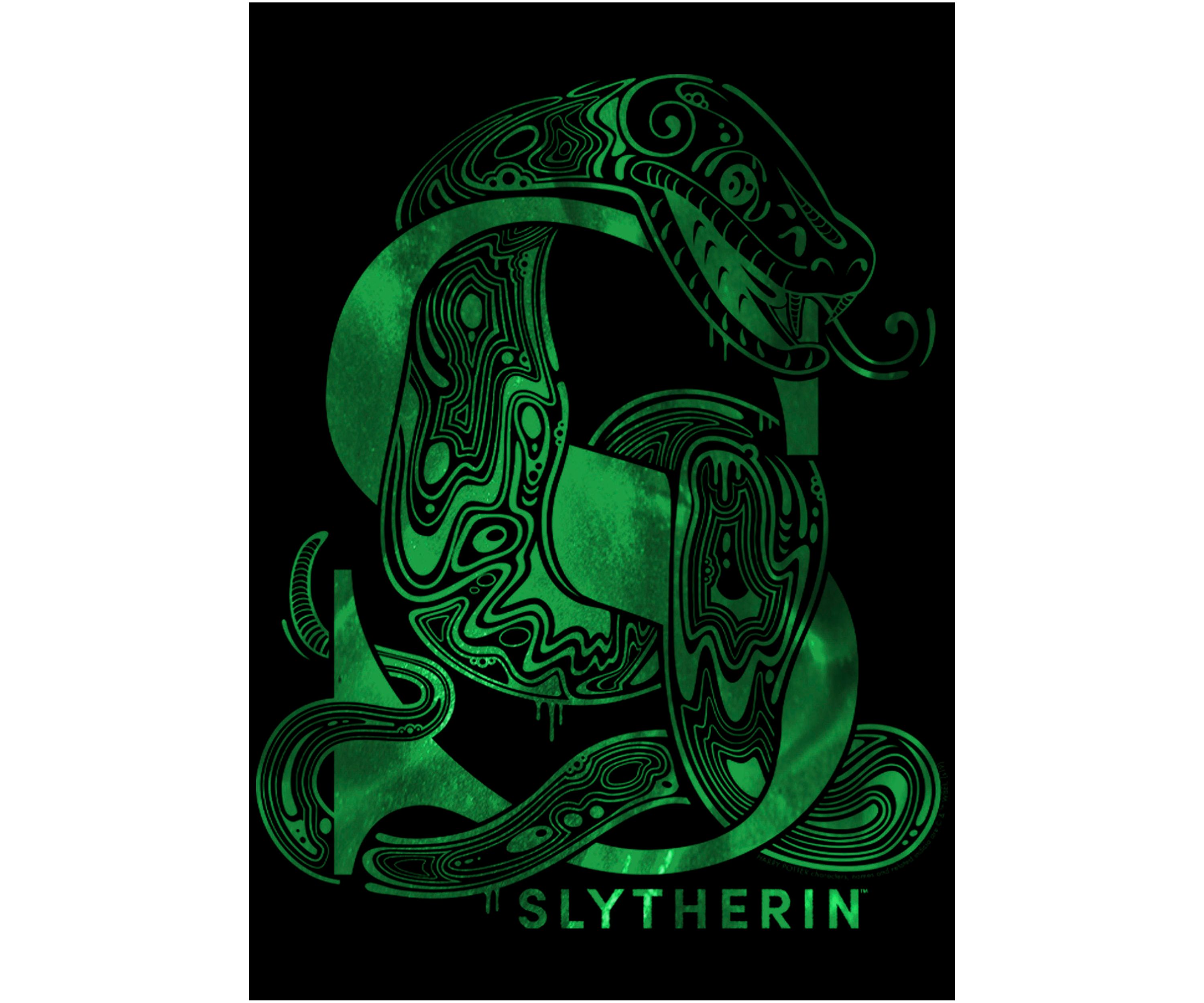 Boys 4-7  Slytherin Graphic T-Shirt