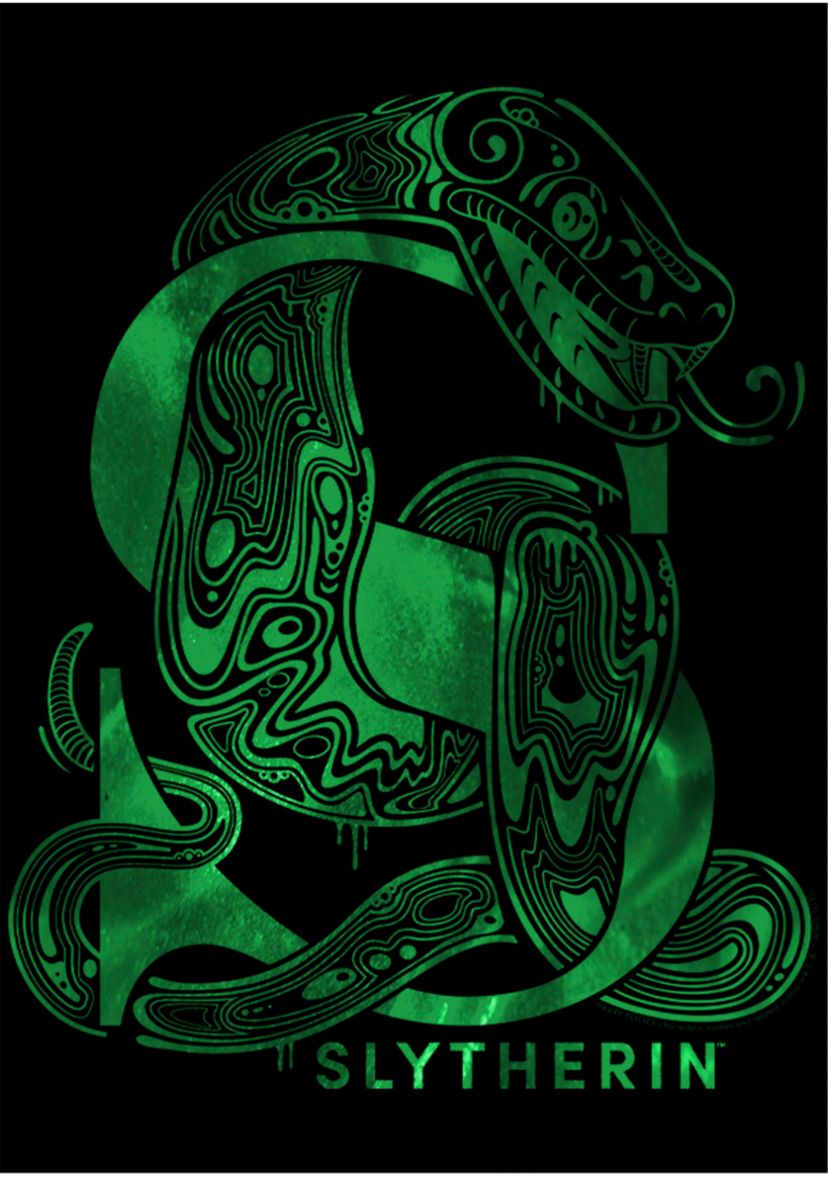 Boys 4-7  Slytherin Graphic T-Shirt