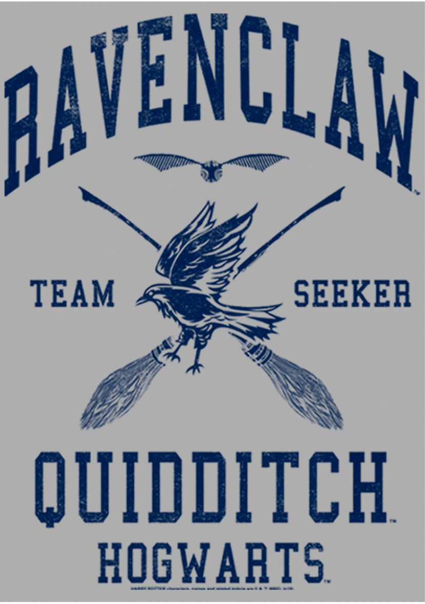 Boys 4-7  Ravenclaw Quidditch Seeker Graphic T-Shirt
