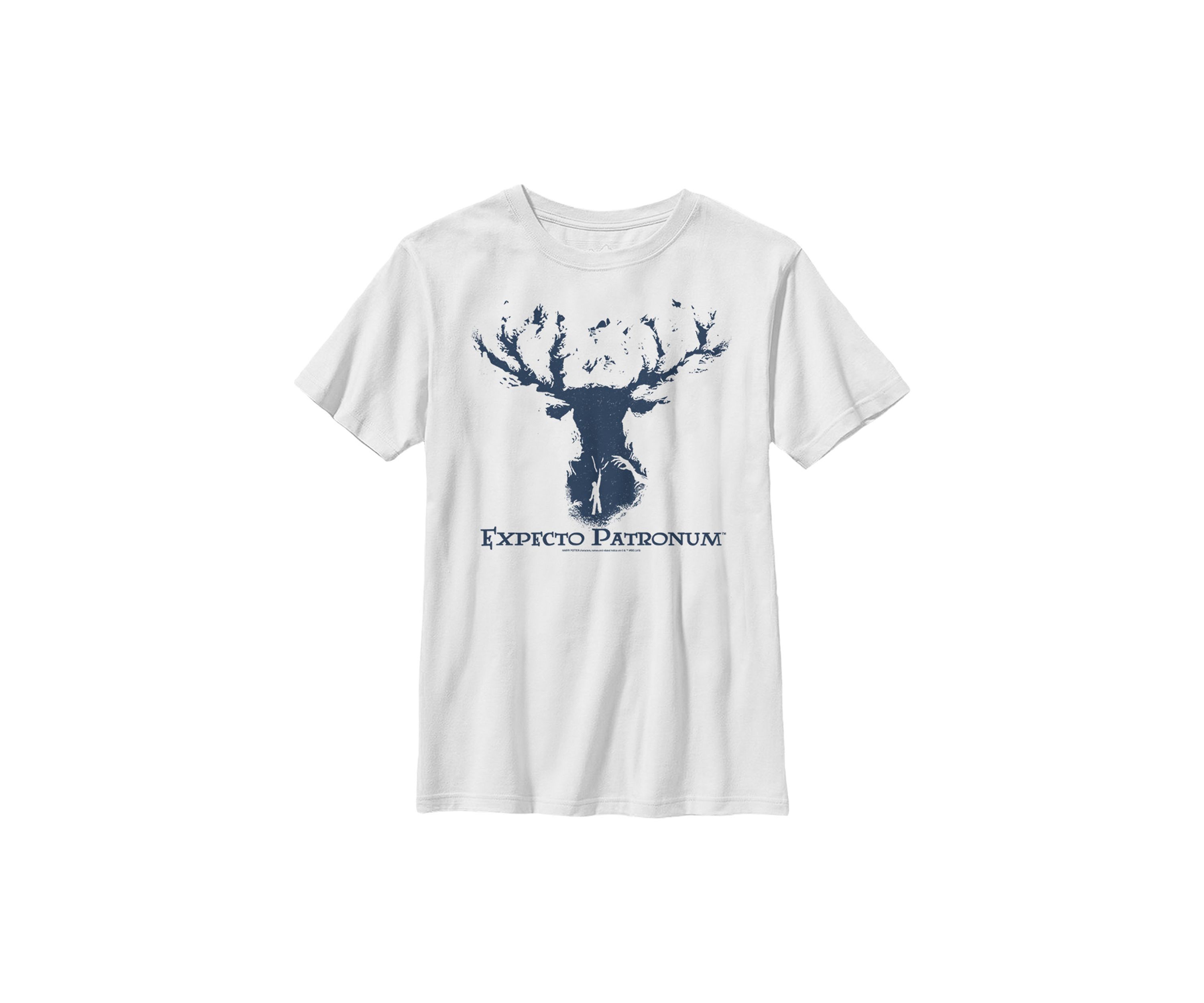 Boys 4-7  Expecto Patronum Graphic T-Shirt