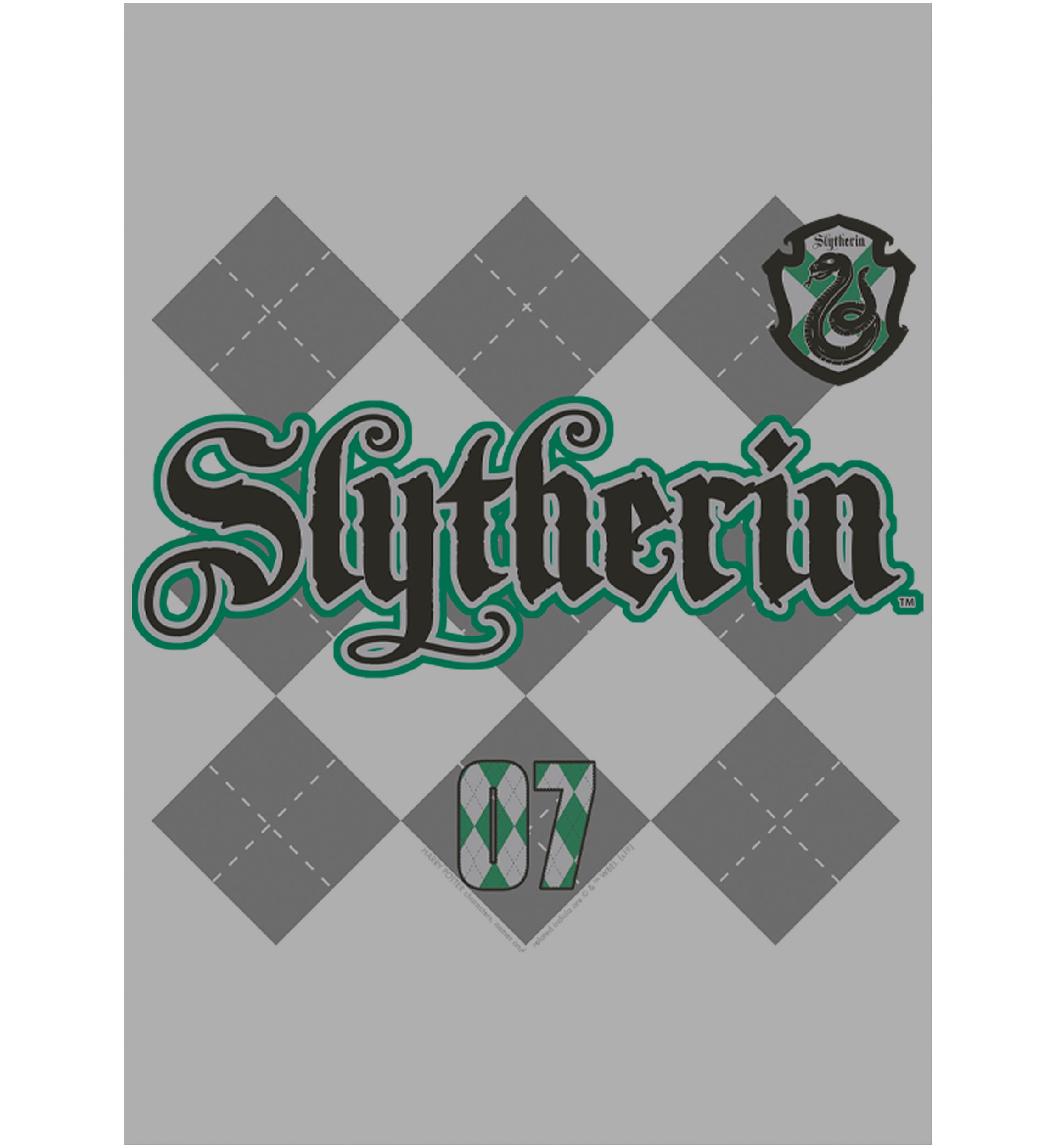 Boys 4-7  Slytherin Pride Graphic T-Shirt