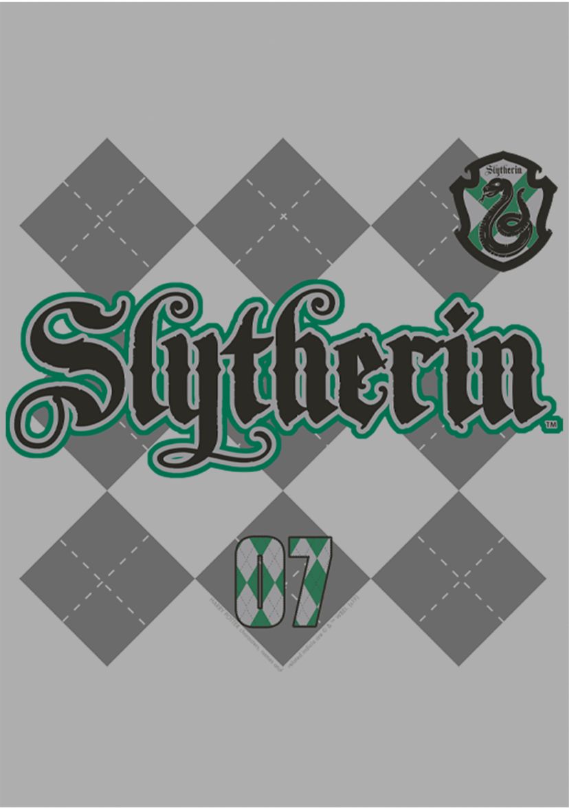 Boys 4-7  Slytherin Pride Graphic T-Shirt