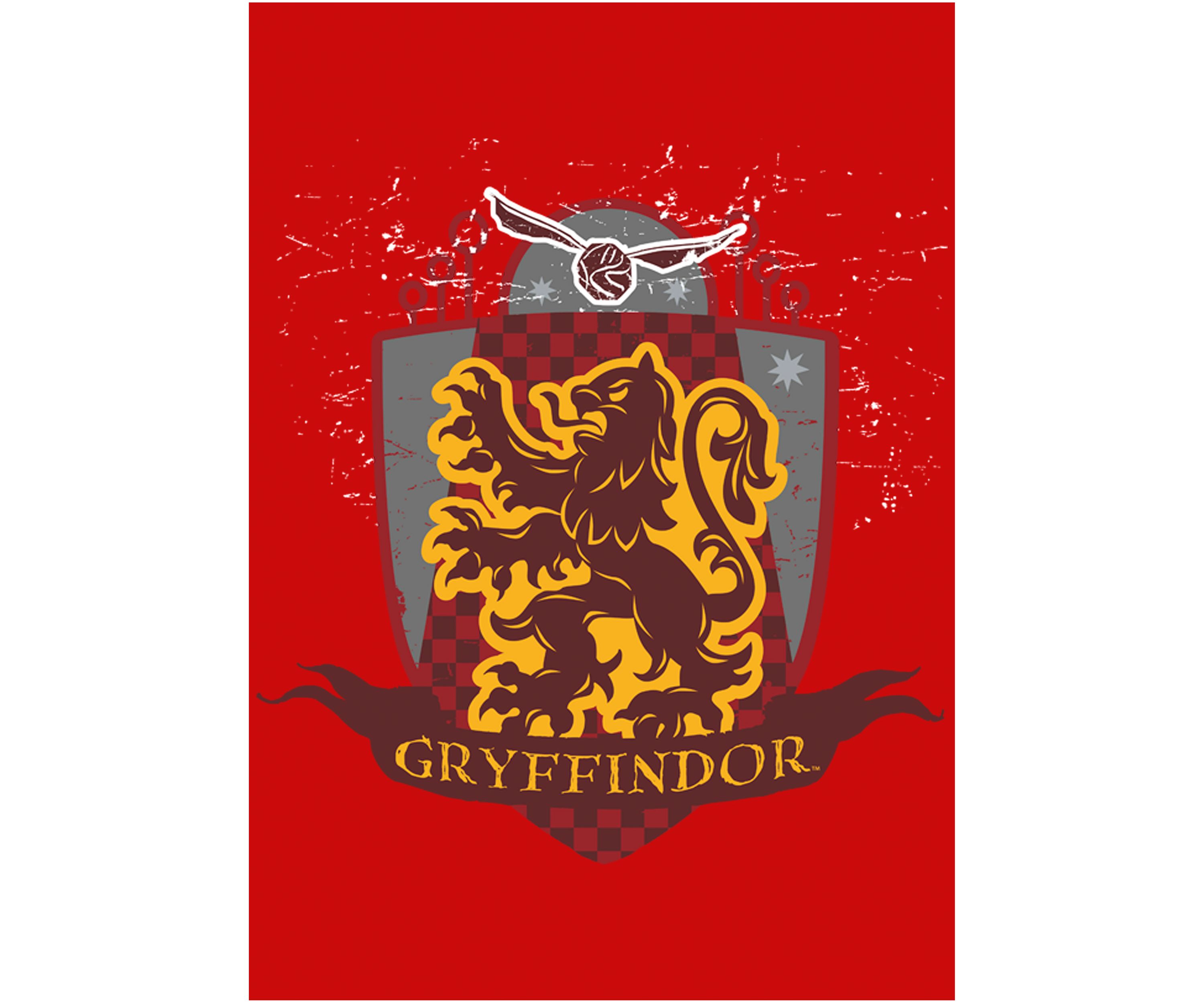 Boys 4-7  Gryffindor Quidditch Graphic T-Shirt
