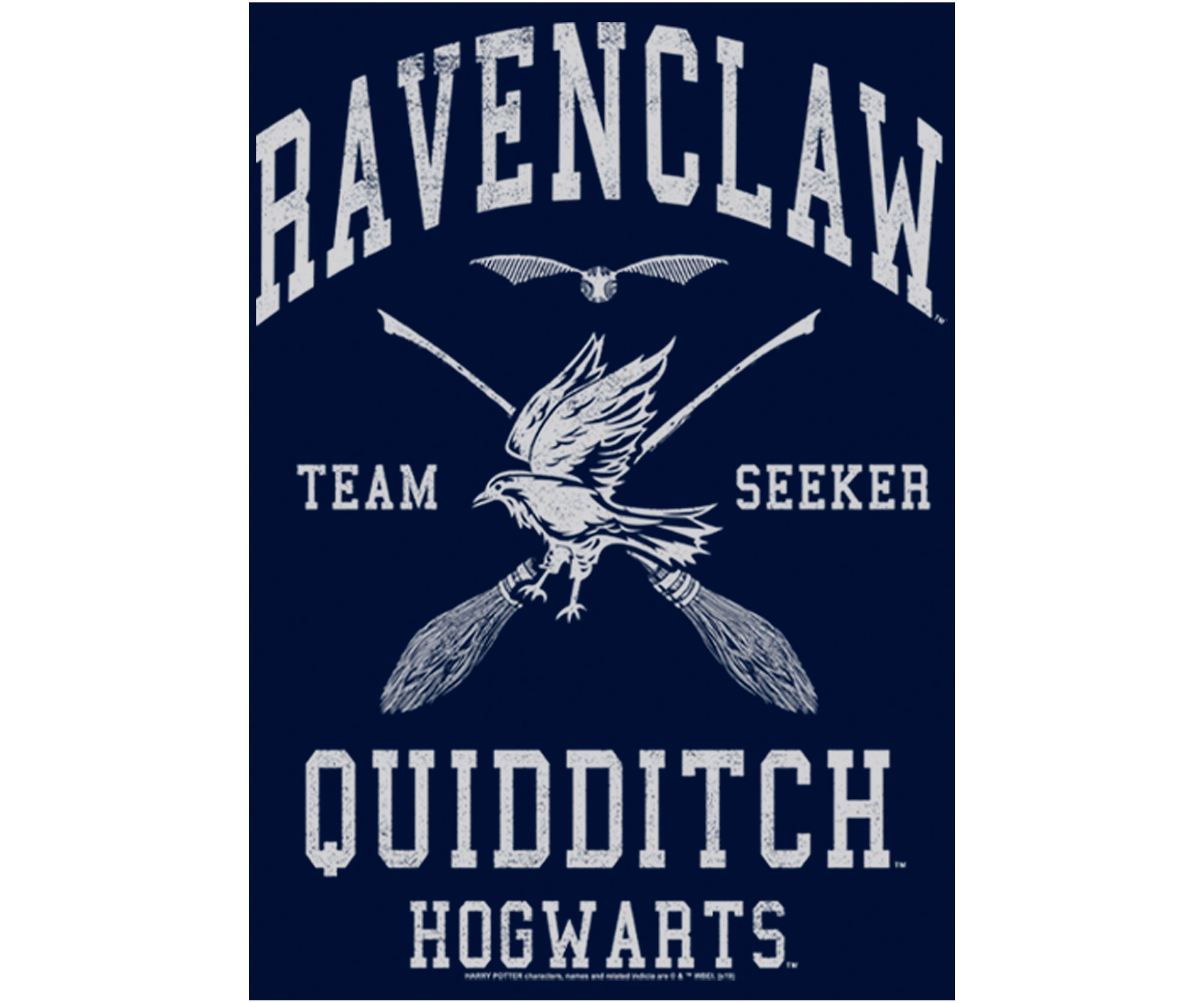 Boys 4-7  Ravenclaw Quidditch Seeker Graphic T-Shirt