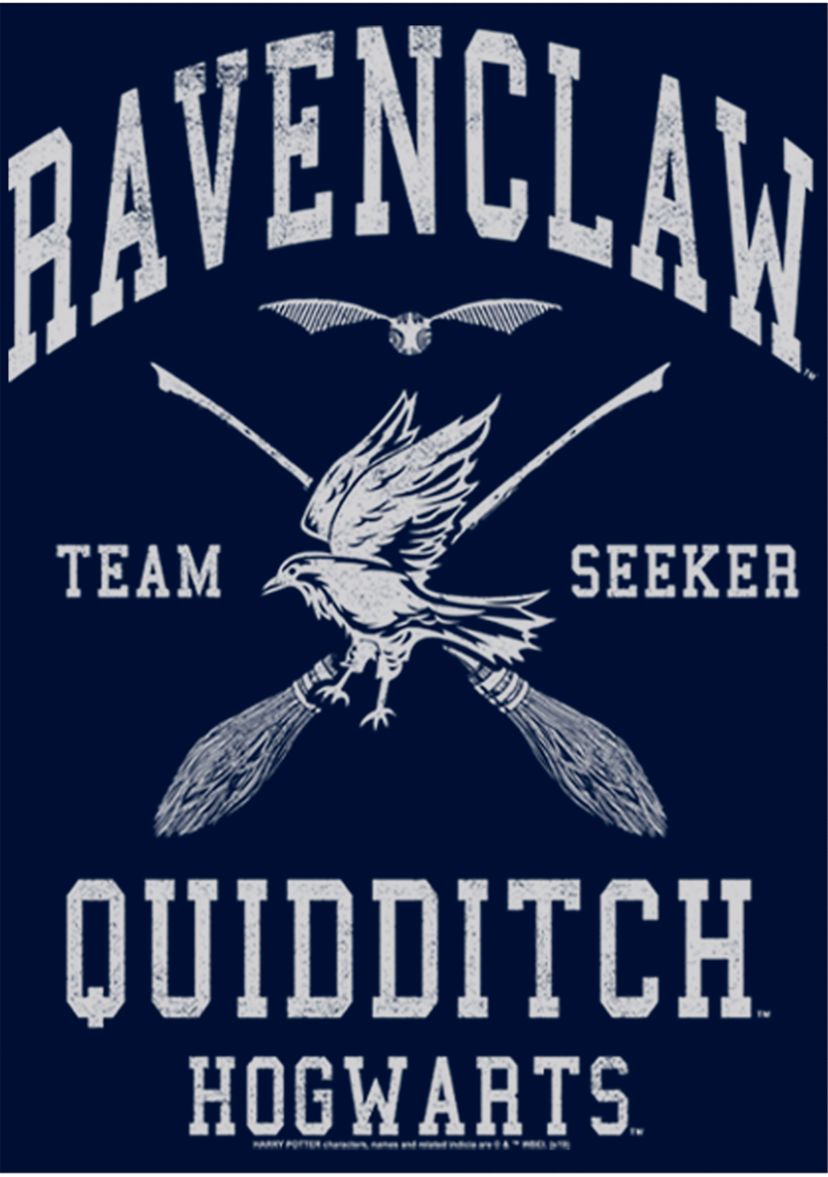 Boys 4-7  Ravenclaw Quidditch Seeker Graphic T-Shirt