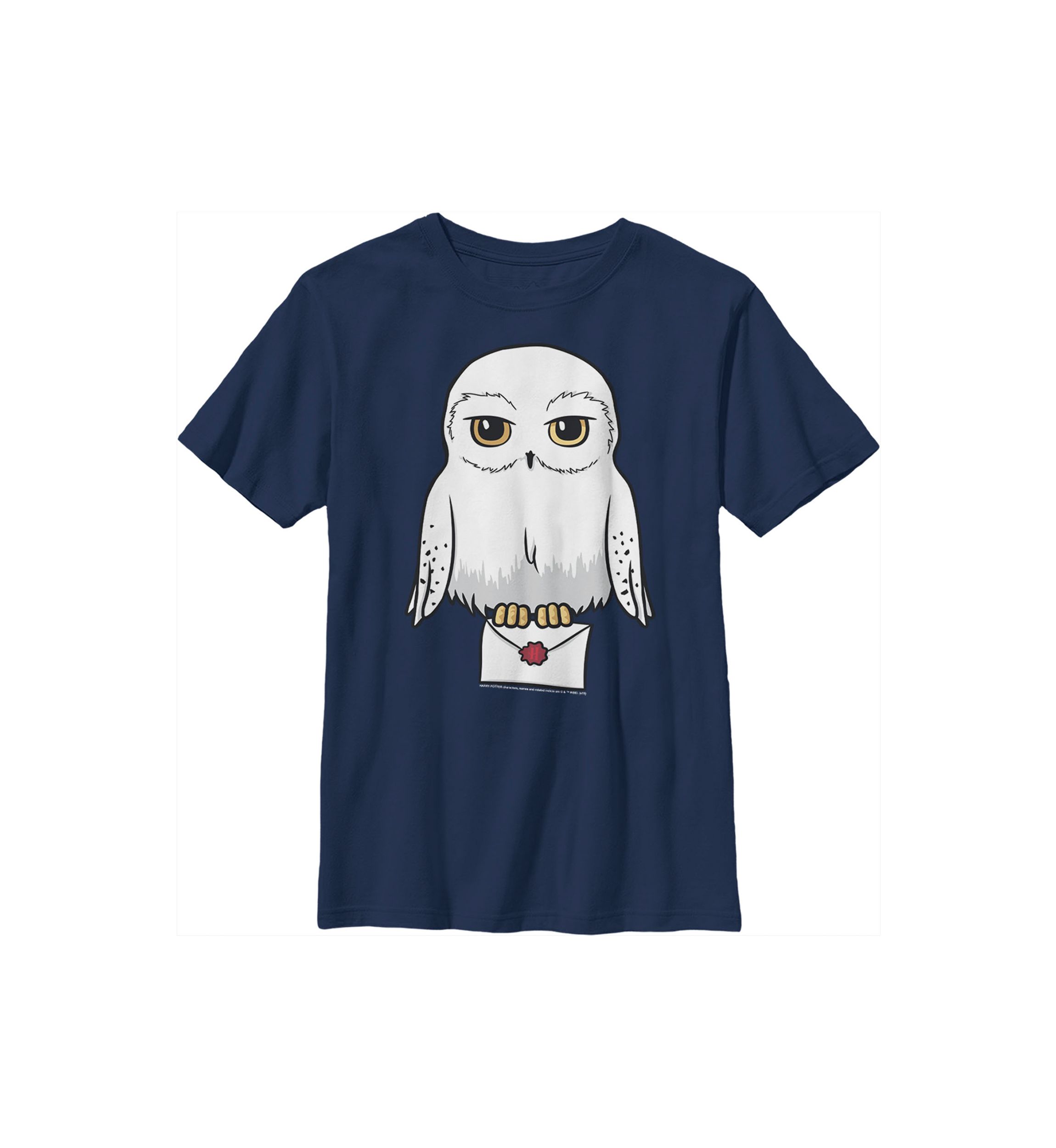 Boys 4-7  Anime Hedwig Mail Graphic T-Shirt