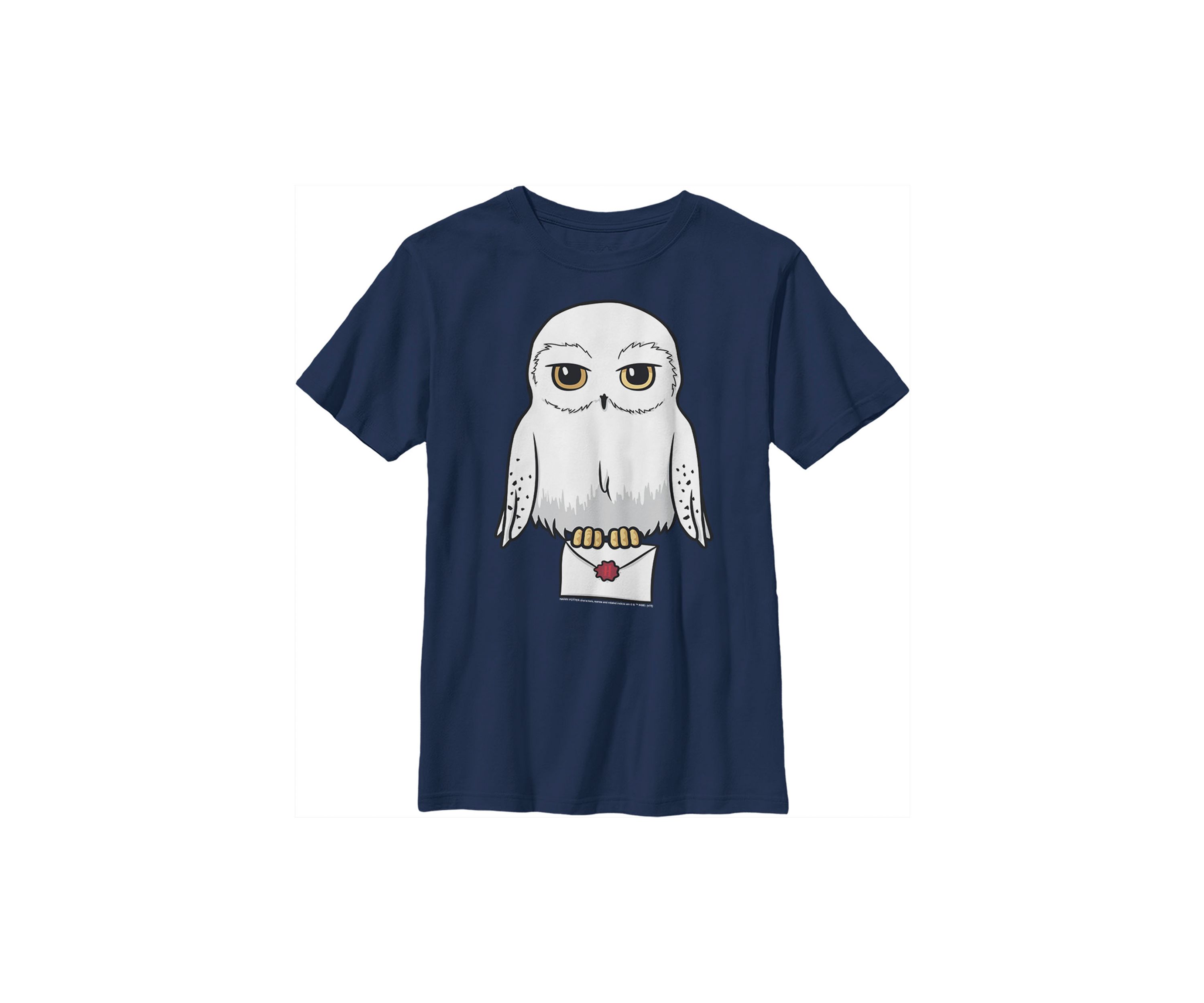 Boys 4-7  Anime Hedwig Mail Graphic T-Shirt