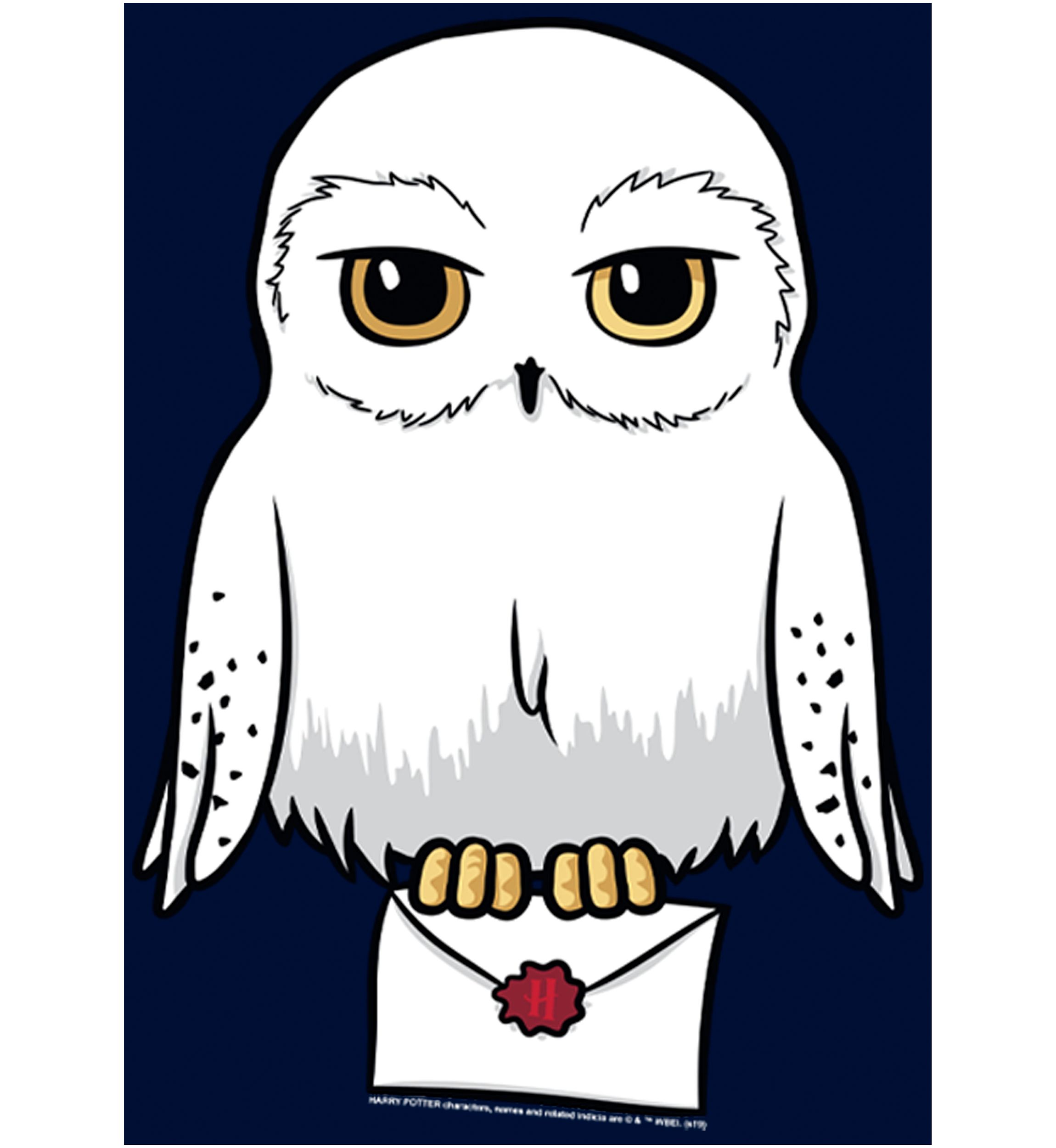 Boys 4-7  Anime Hedwig Mail Graphic T-Shirt