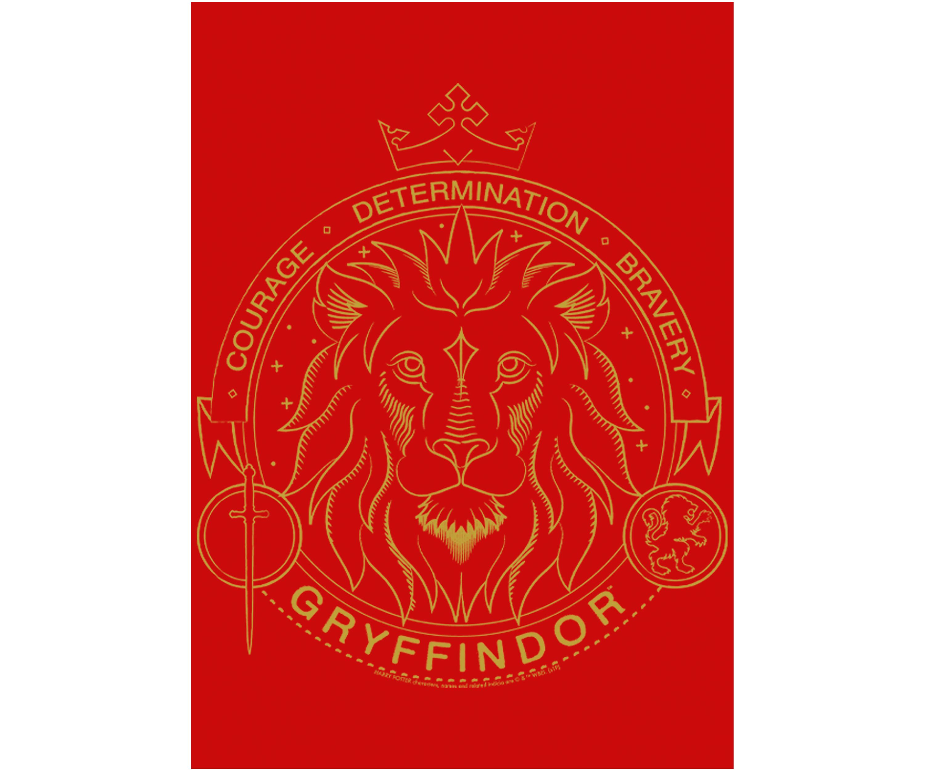 Boys 4-7  Gryffindor Line Art Symbol Graphic T-Shirt