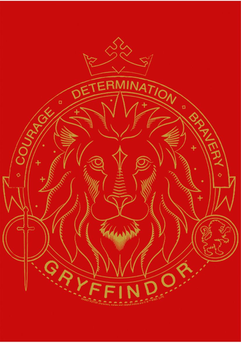 Boys 4-7  Gryffindor Line Art Symbol Graphic T-Shirt
