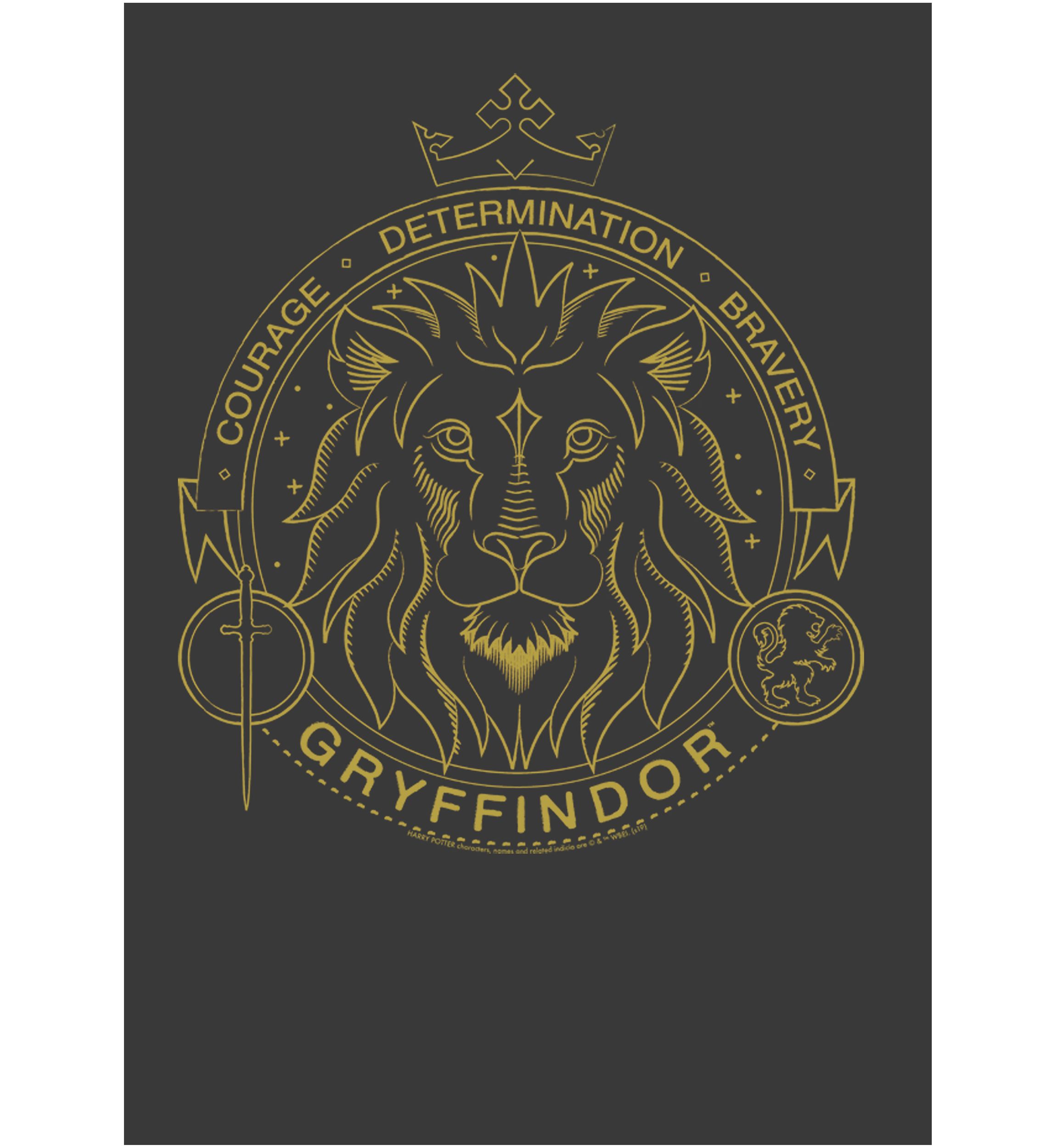 Boys 4-7  Gryffindor Line Art Symbol Graphic T-Shirt