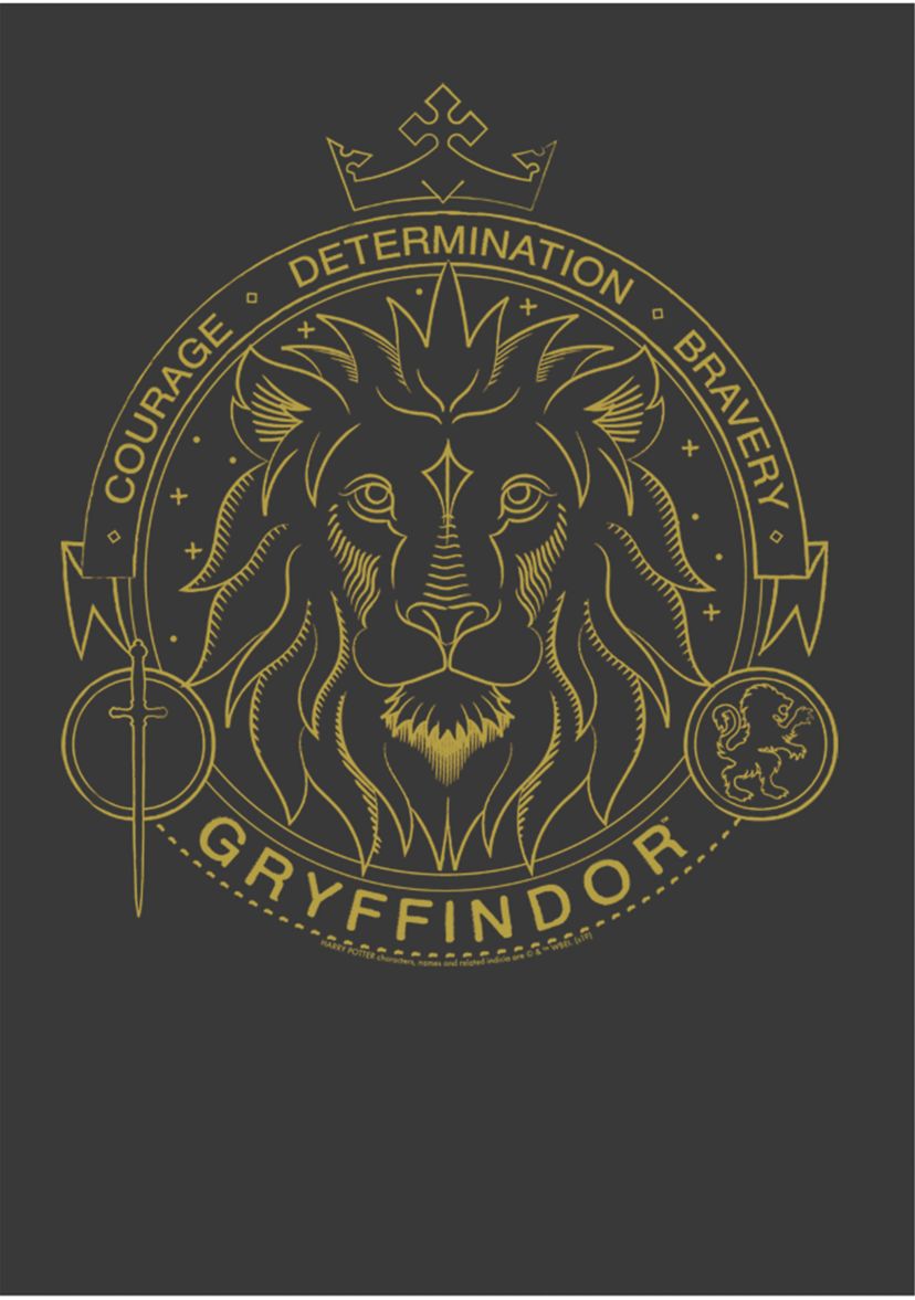 Boys 4-7  Gryffindor Line Art Symbol Graphic T-Shirt