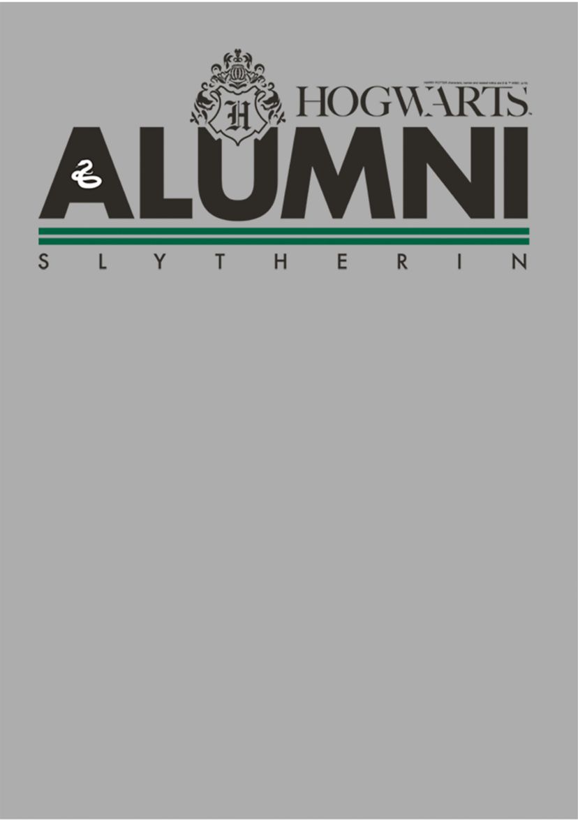 Boys 4-7  Slytherin Alumni Graphic T-Shirt