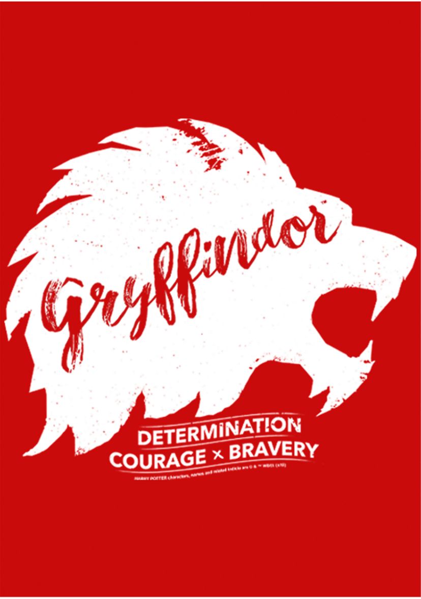 Boys 4-7  Determination Courage Bravery Graphic T-Shirt