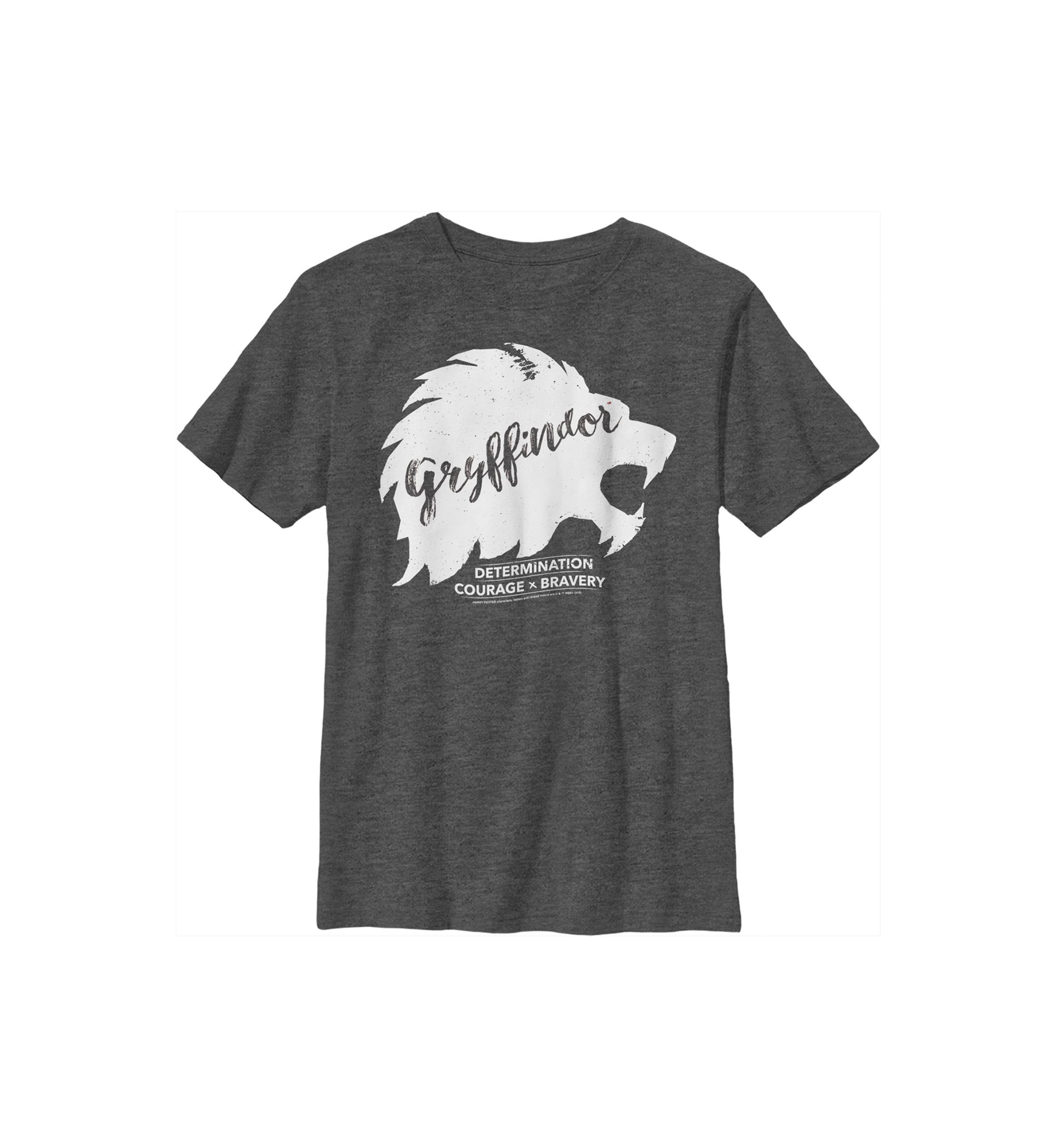 Boys 4-7  Determination Courage Bravery Graphic T-Shirt