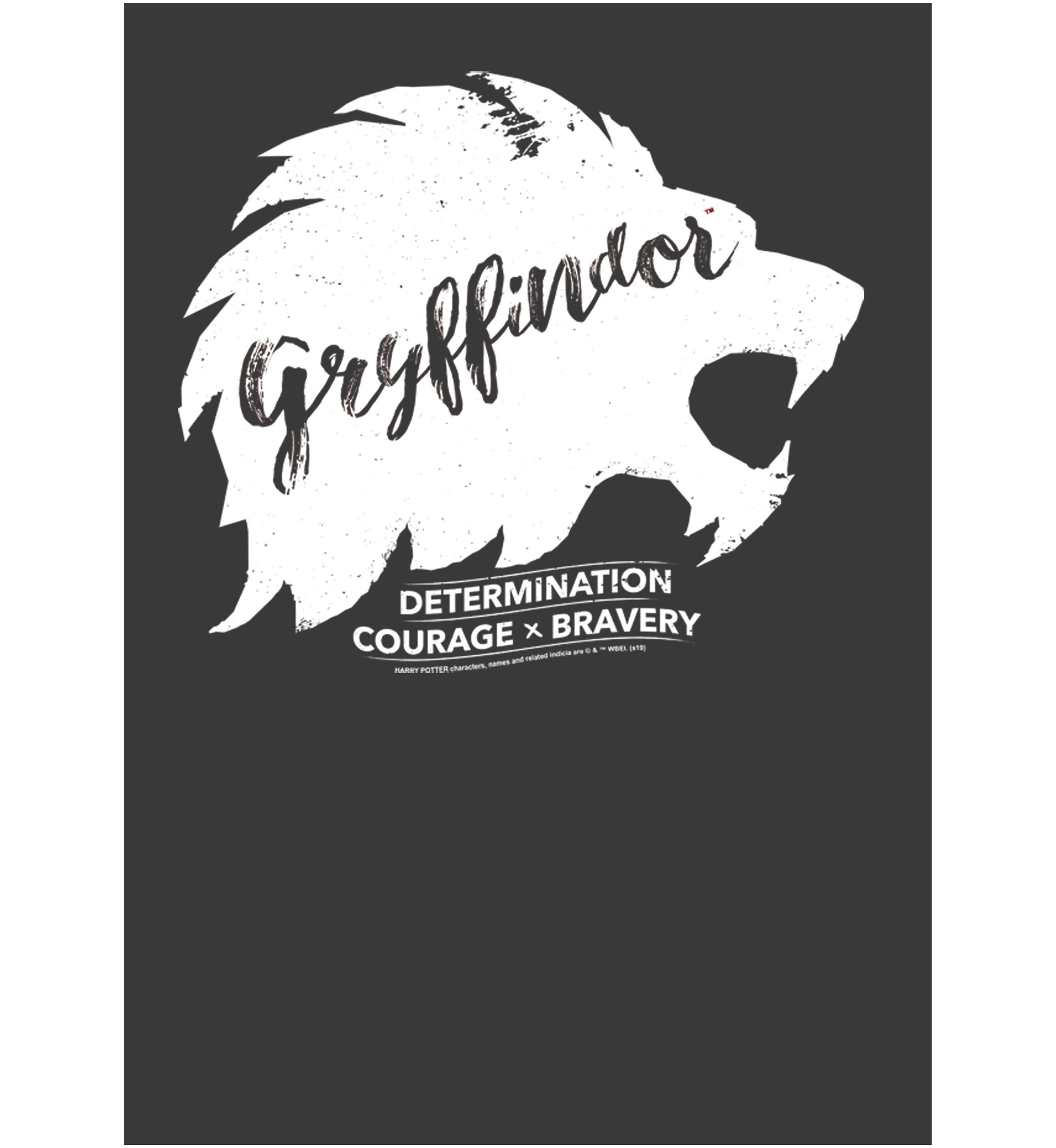Boys 4-7  Determination Courage Bravery Graphic T-Shirt