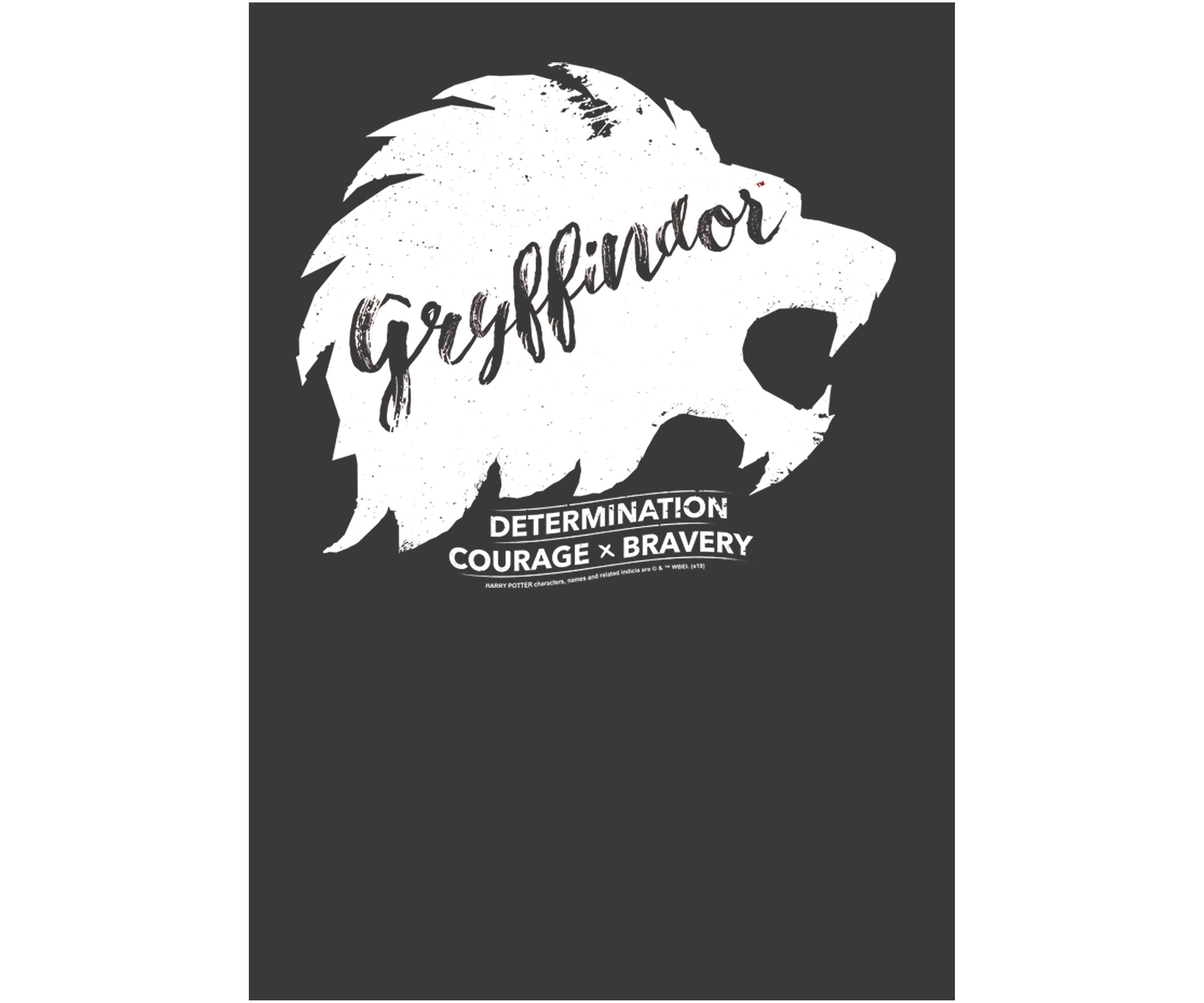 Boys 4-7  Determination Courage Bravery Graphic T-Shirt