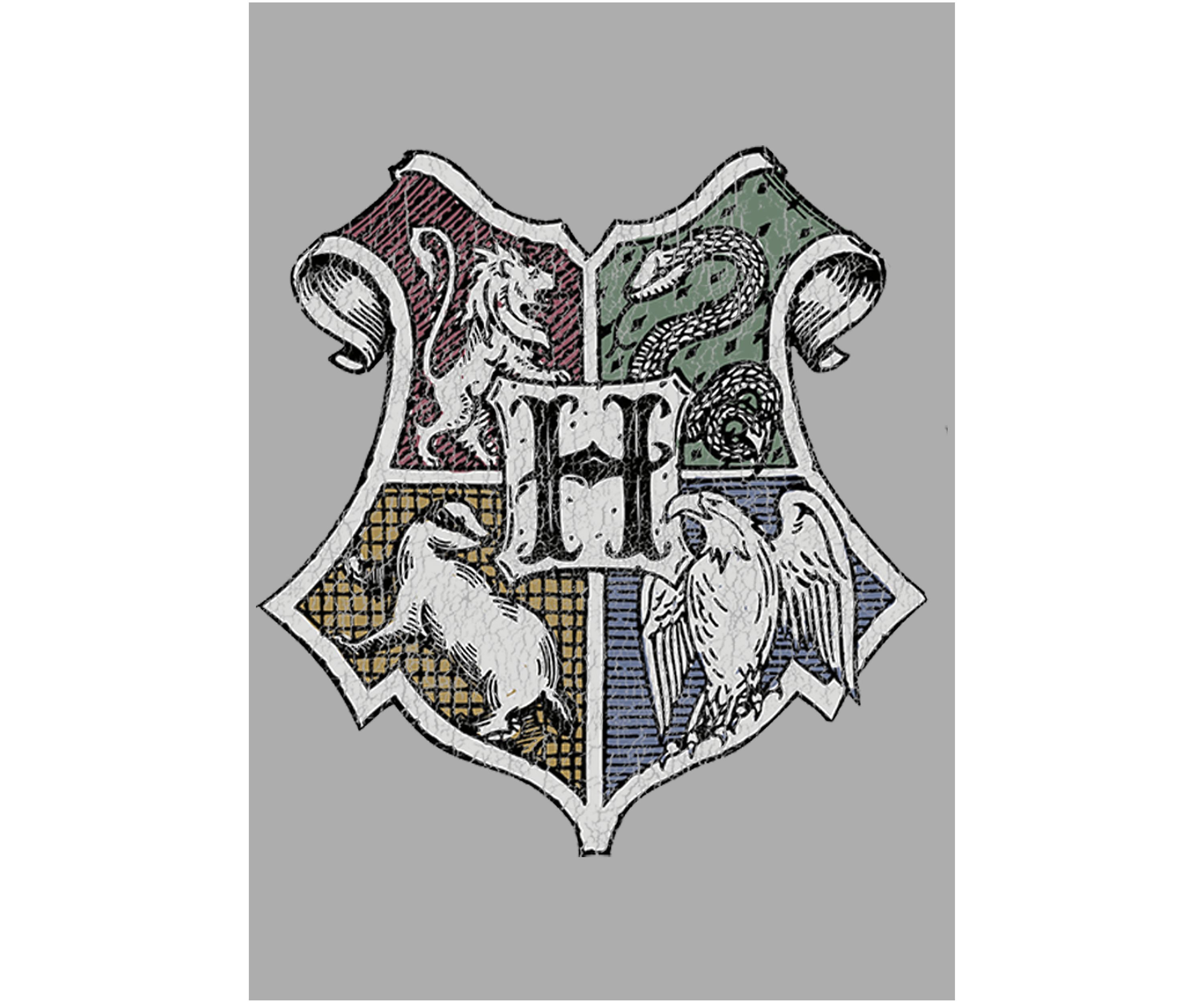 Boys 4-7  Hand Drawn Crest Graphic T-Shirt