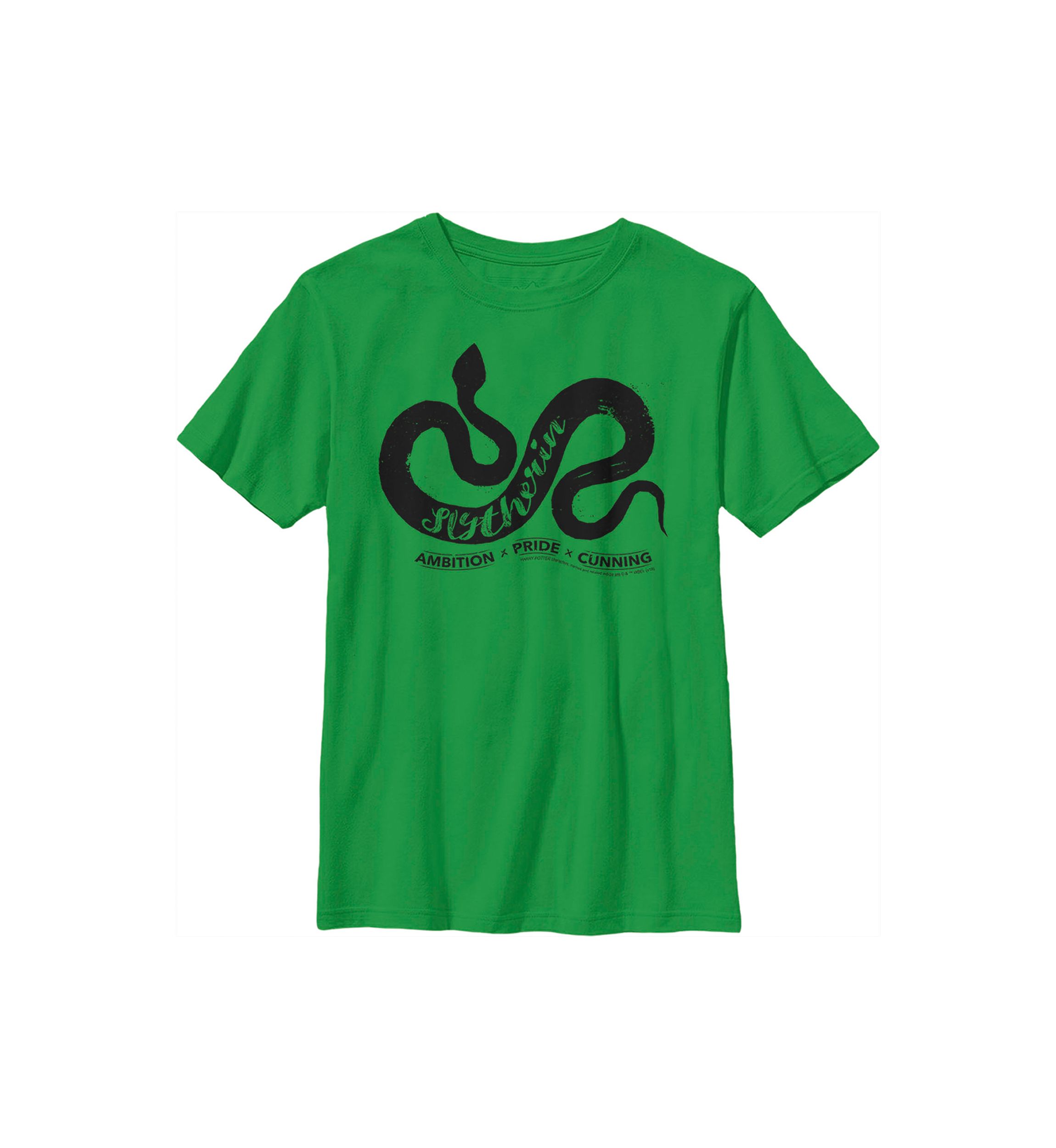 Boys 4-7  Ambition Pride Cunning Graphic T-Shirt
