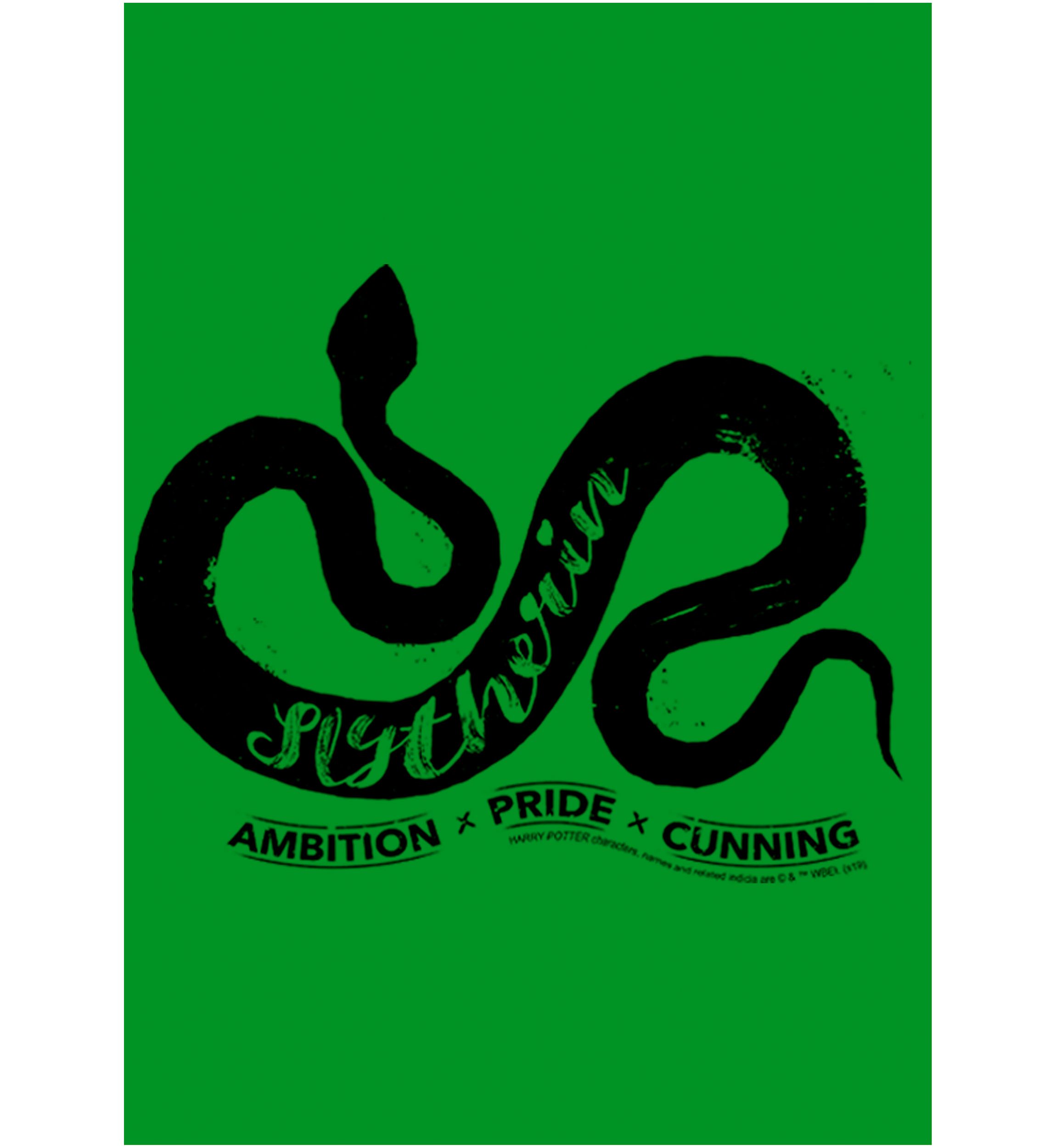 Boys 4-7  Ambition Pride Cunning Graphic T-Shirt