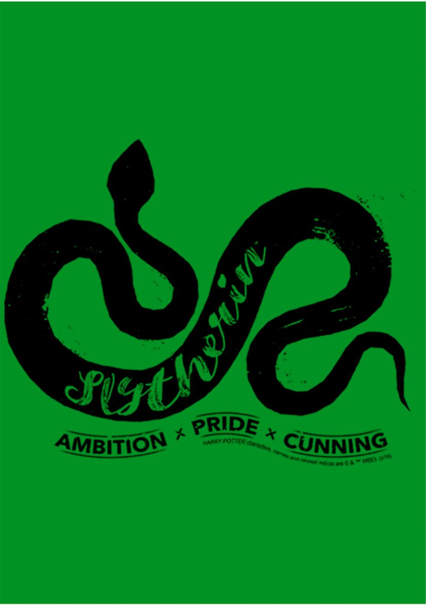 Boys 4-7  Ambition Pride Cunning Graphic T-Shirt