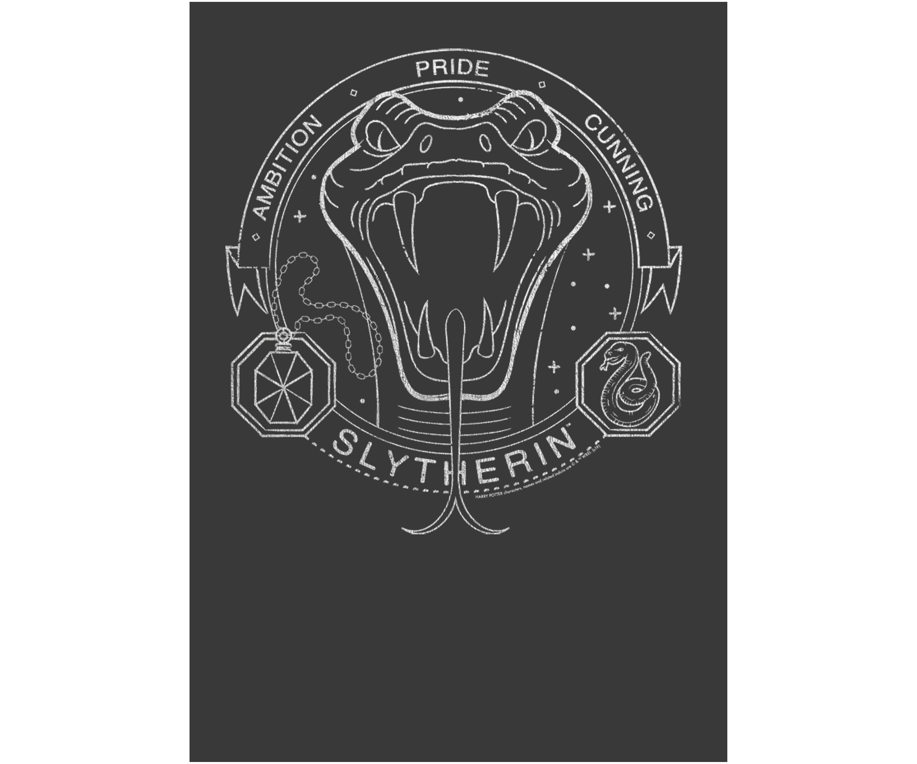 Boys 4-7  Slytherin Line Art Symbol Graphic T-Shirt