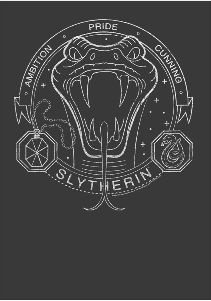 Boys 4-7  Slytherin Line Art Symbol Graphic T-Shirt