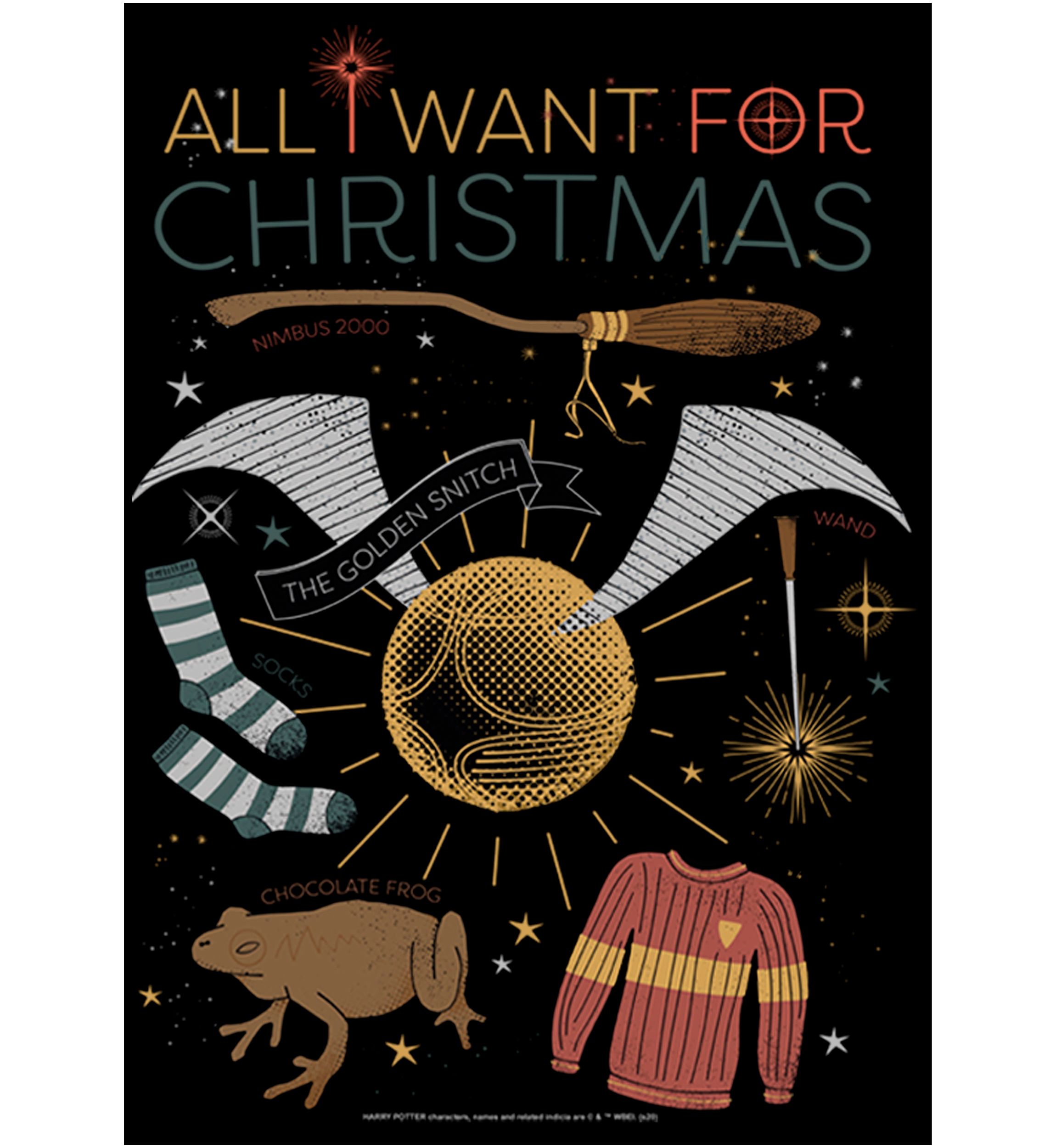 Boys 4-7 Wishlist Top