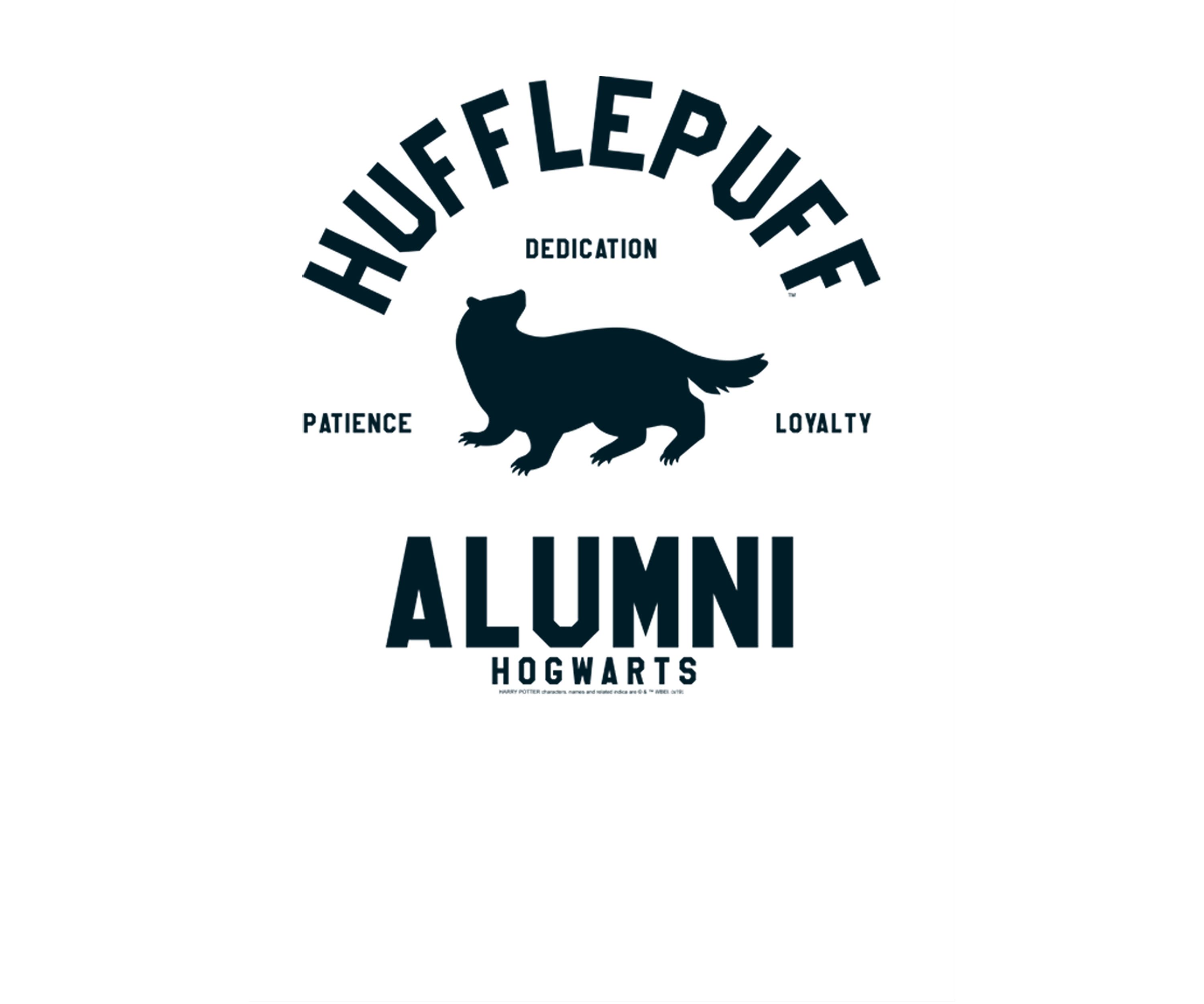 Boys 4-7  Hufflepuff House Alumni Graphic T-Shirt