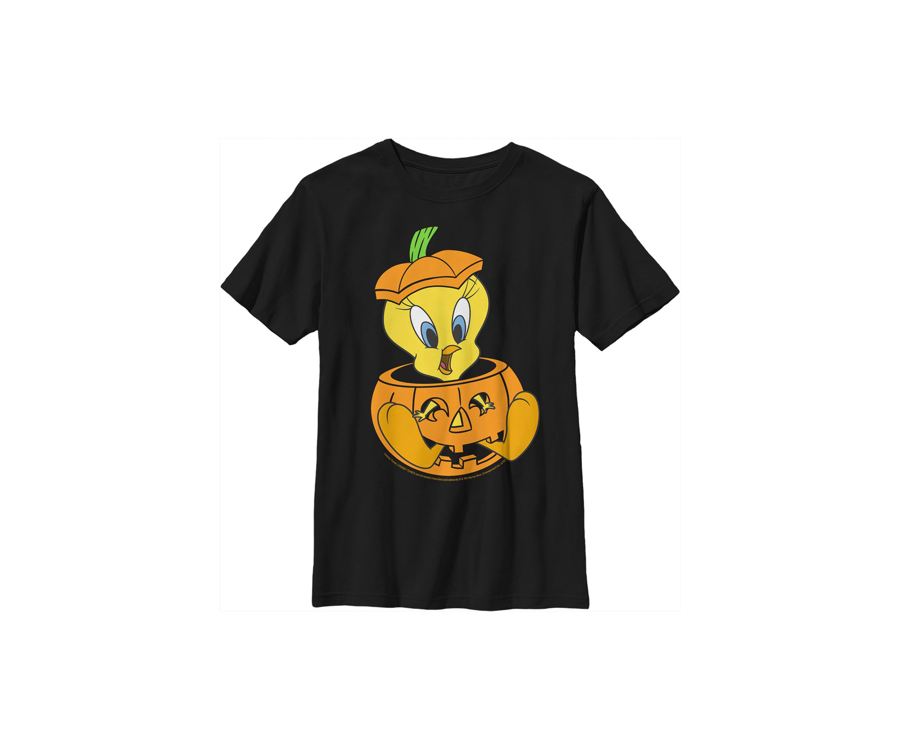 Boys 4-7 Tweet Pumpkin T-Shirt