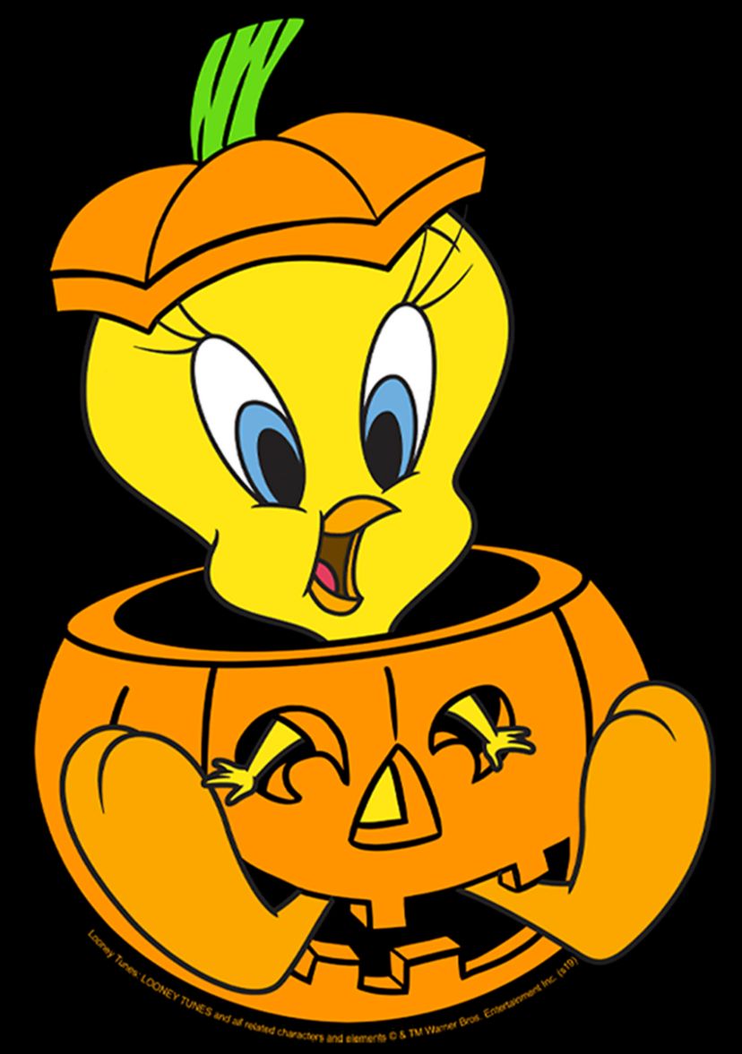 Boys 4-7 Tweet Pumpkin T-Shirt