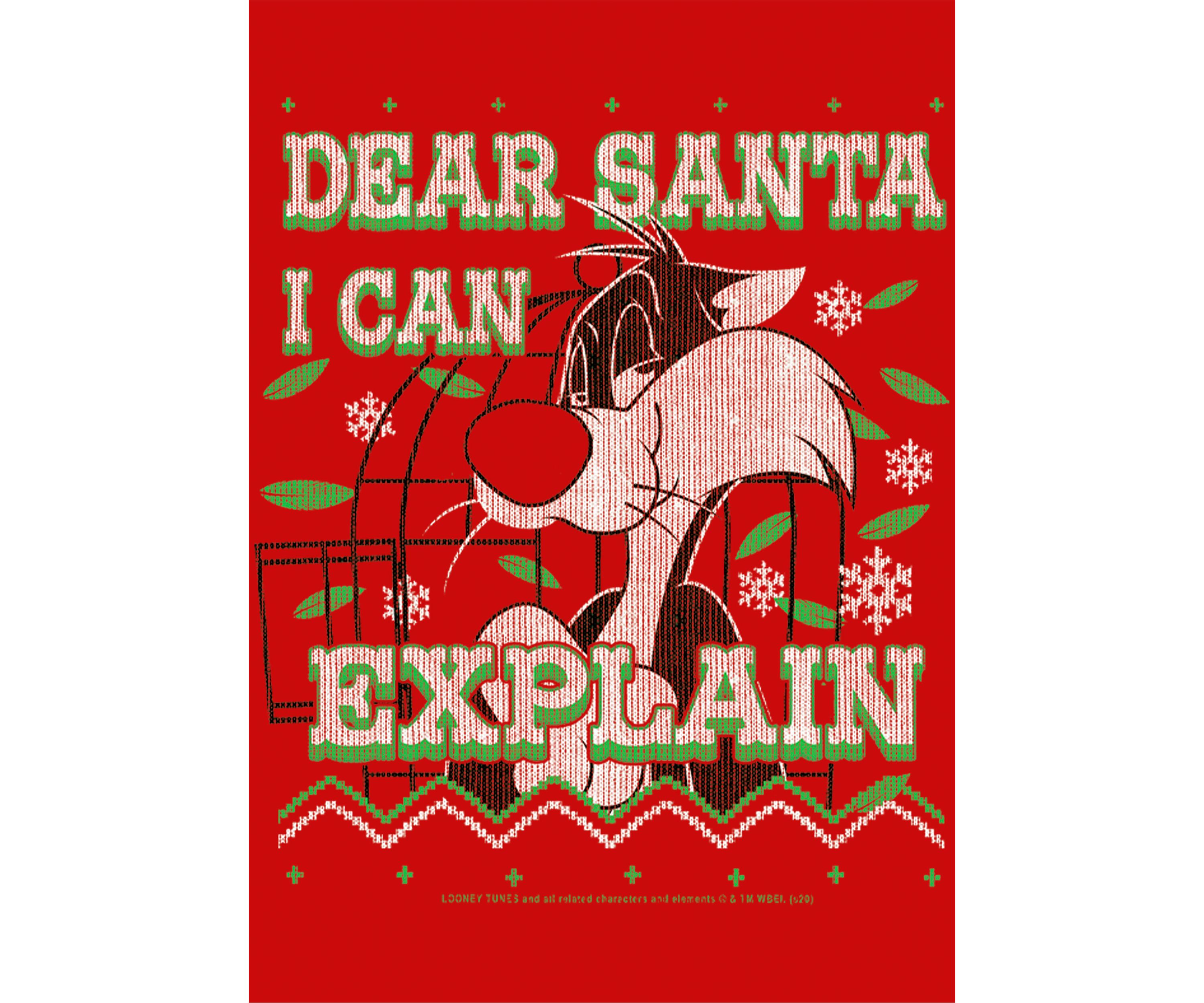Boys 4-7 Sylvester I Can Explain Graphic Top