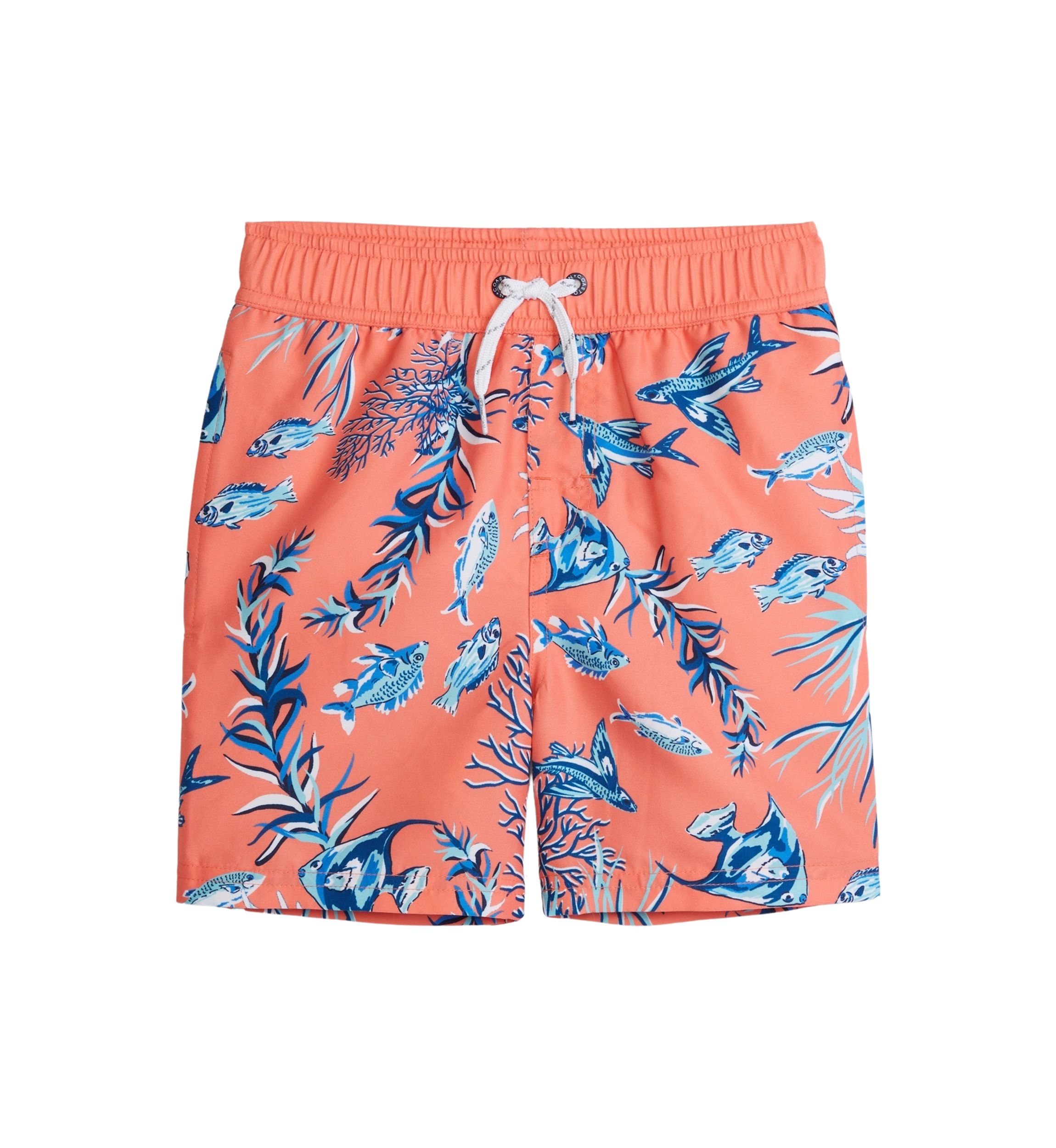 Boys 4-7 Printed Swim Trunks