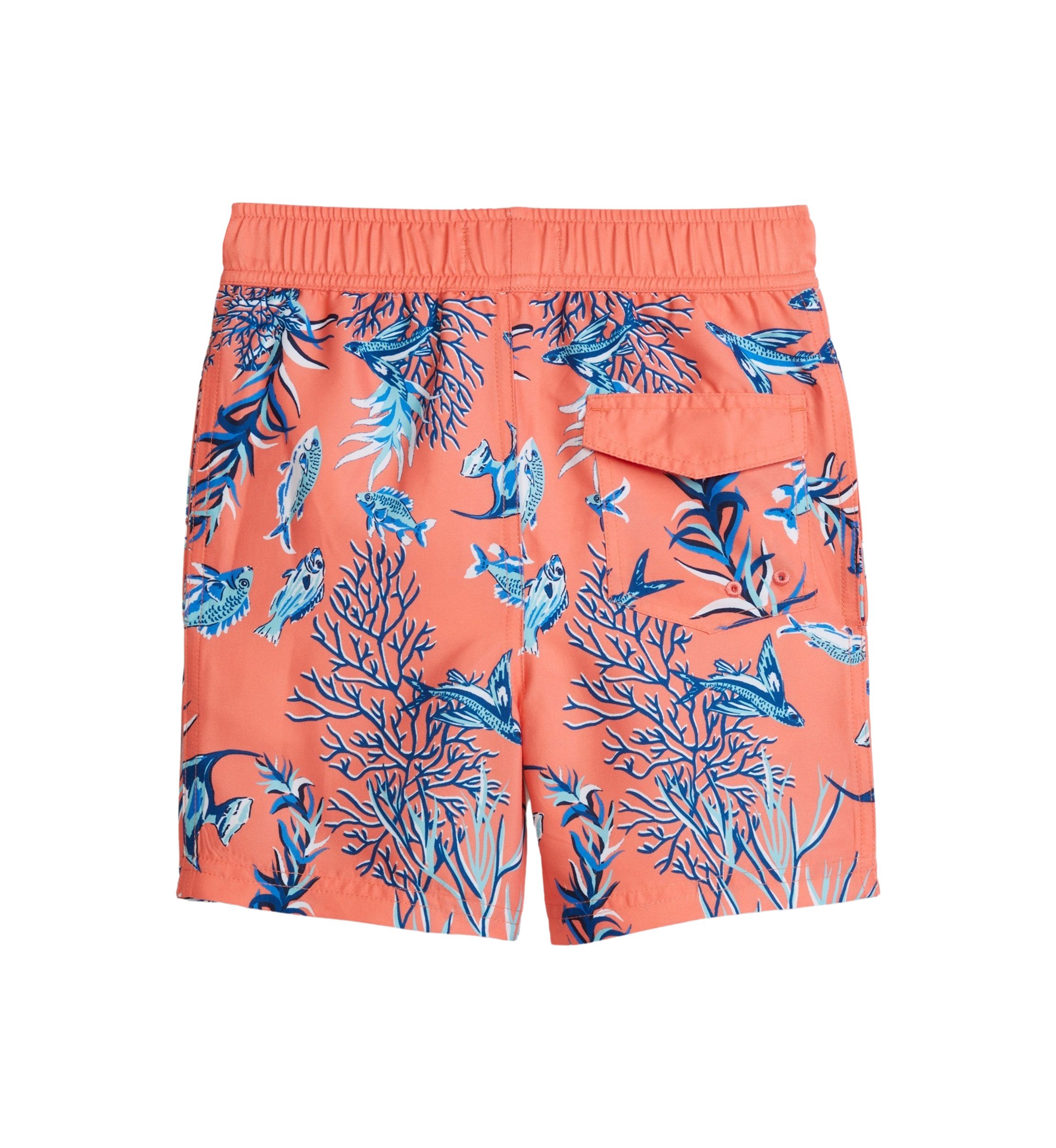 Boys 4-7 Printed Swim Trunks