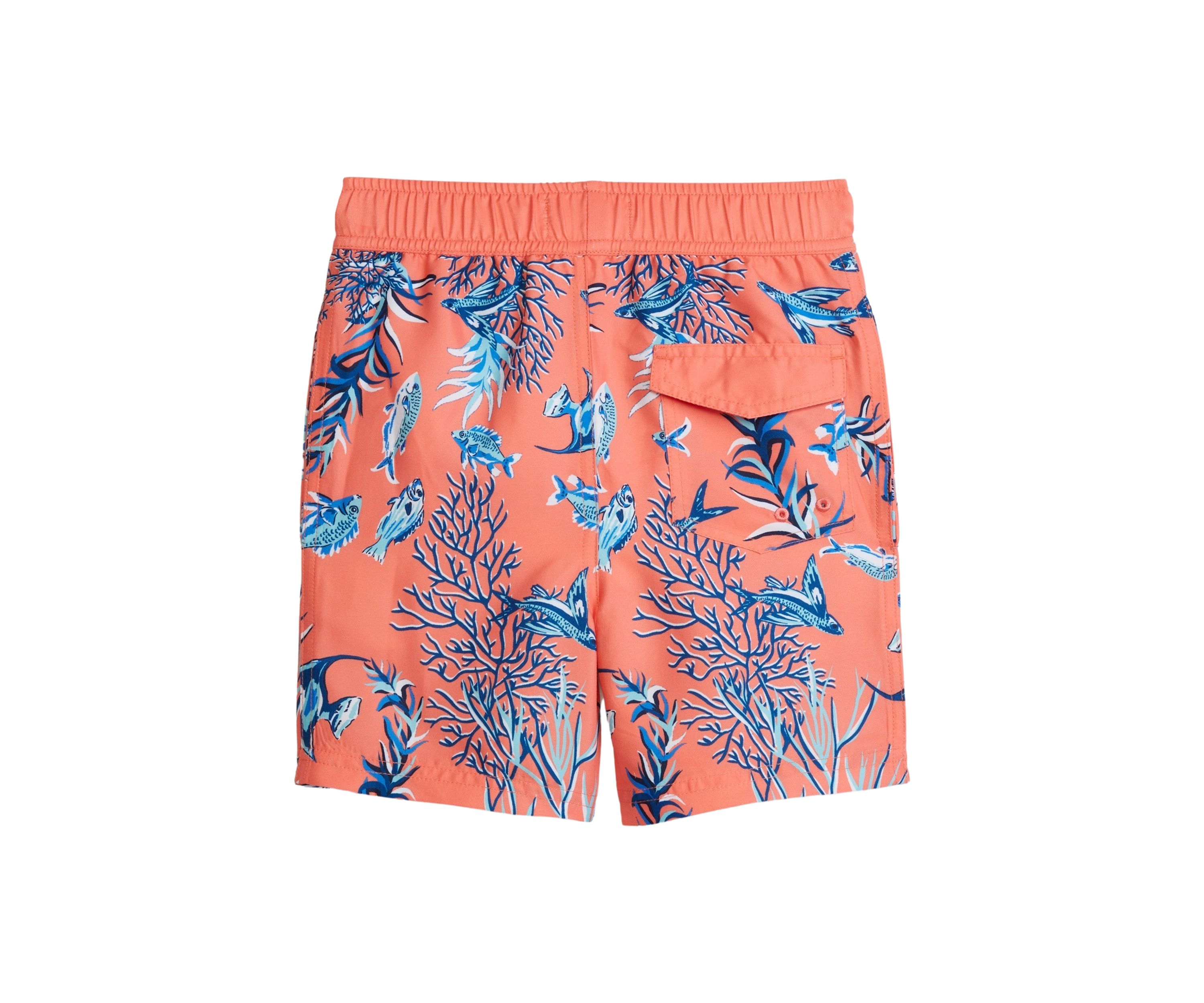 Boys 4-7 Printed Swim Trunks