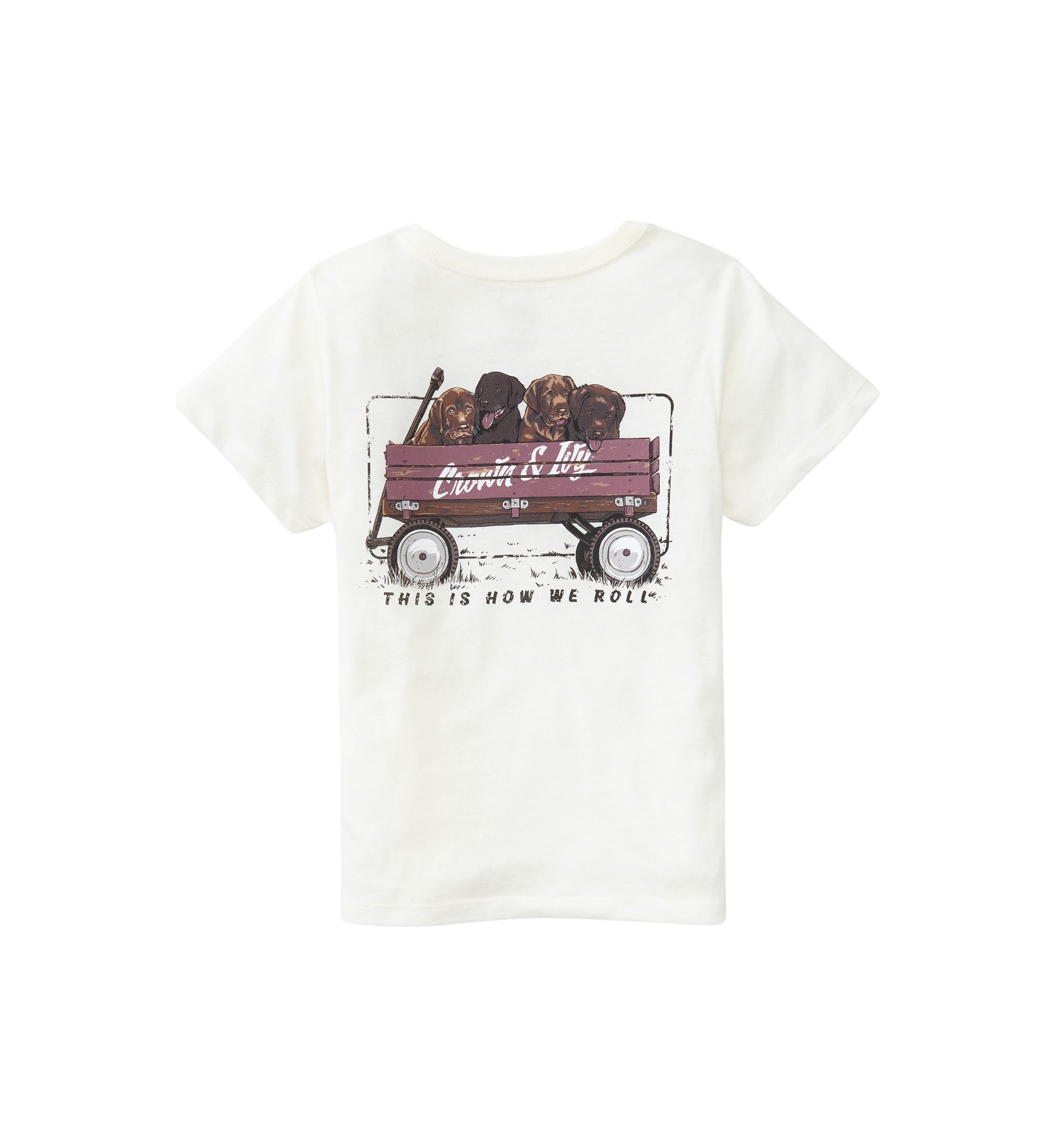 Boys 4-7 Short Sleeve Graphic T-Shirt