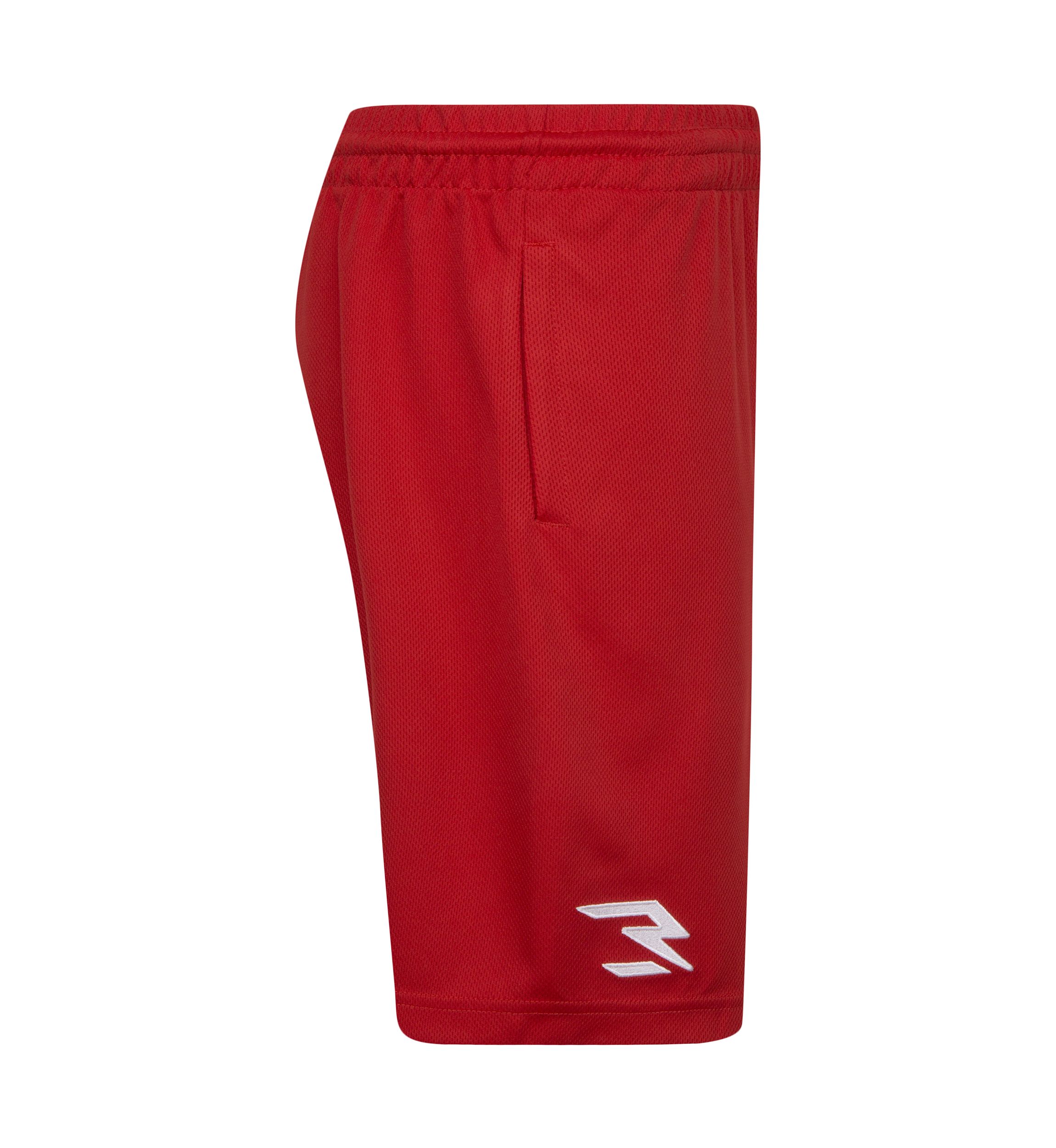 Boys 8-20 Swoosh Shorts