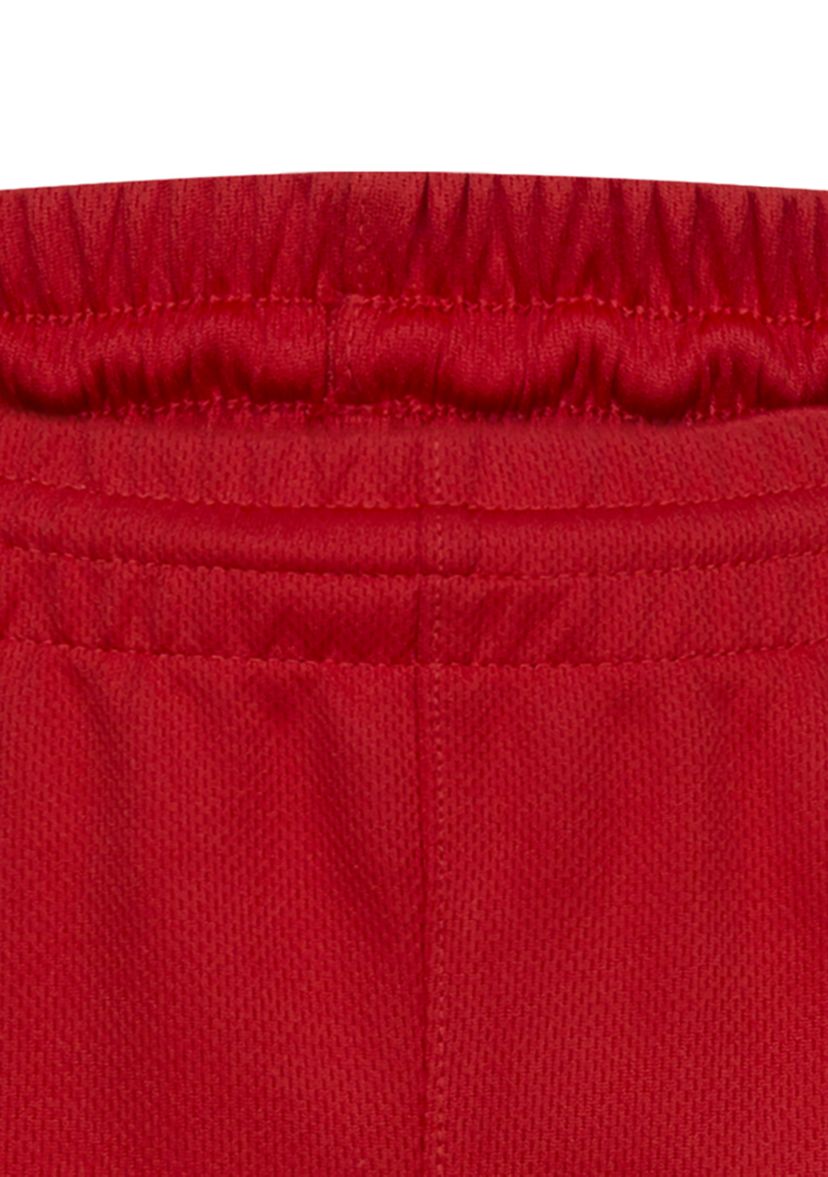 Boys 8-20 Swoosh Shorts