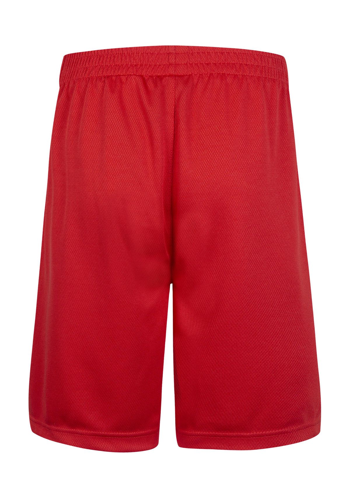 Boys 8-20 Badge Logo Shorts